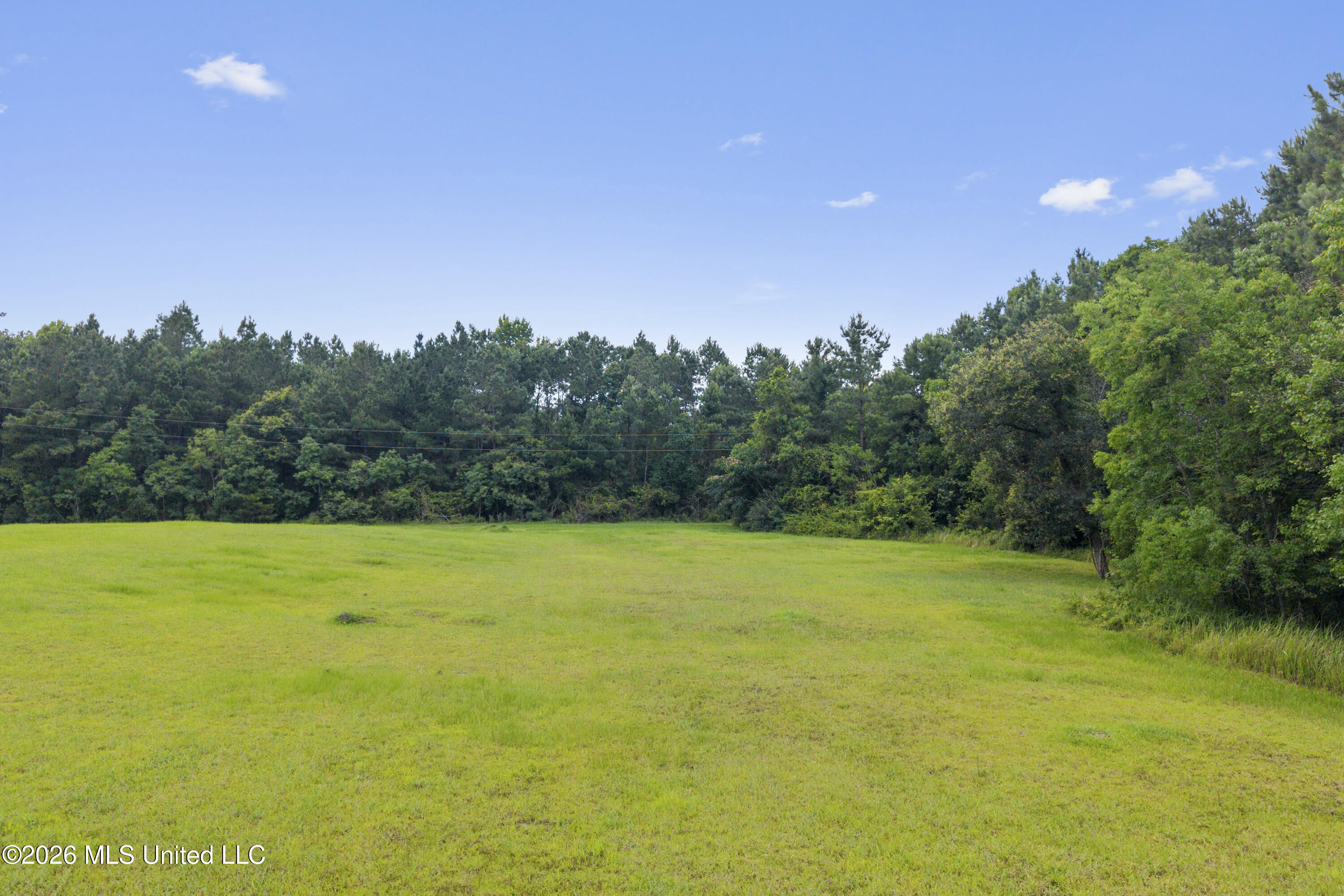 1441 Blue Meadow Road Property Photo 12