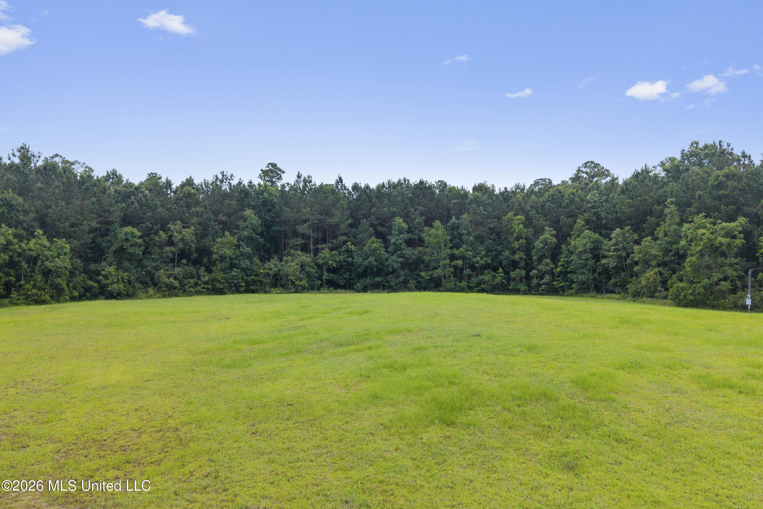 1441 Blue Meadow Road Property Photo 13