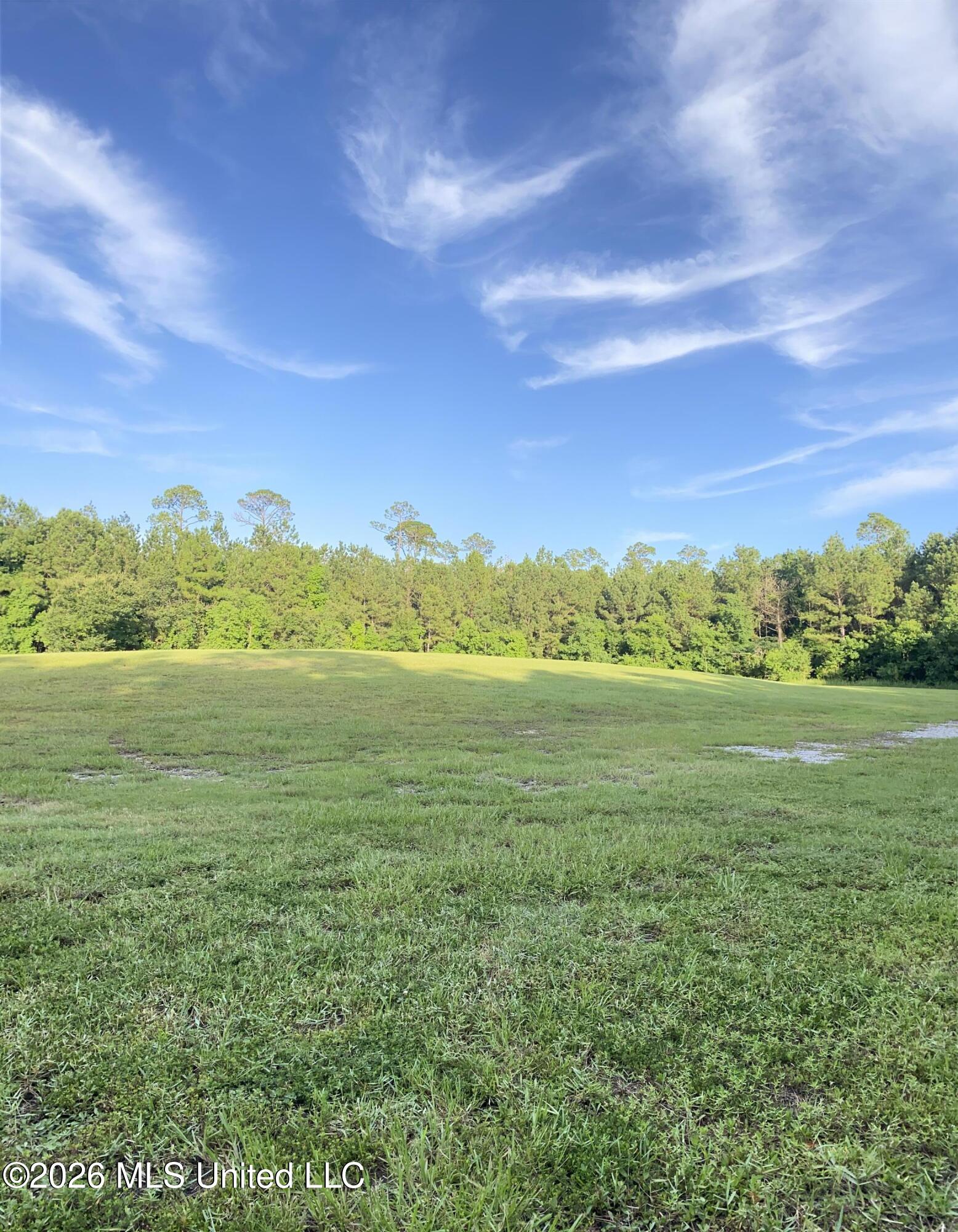 1441 Blue Meadow Road Property Photo 29