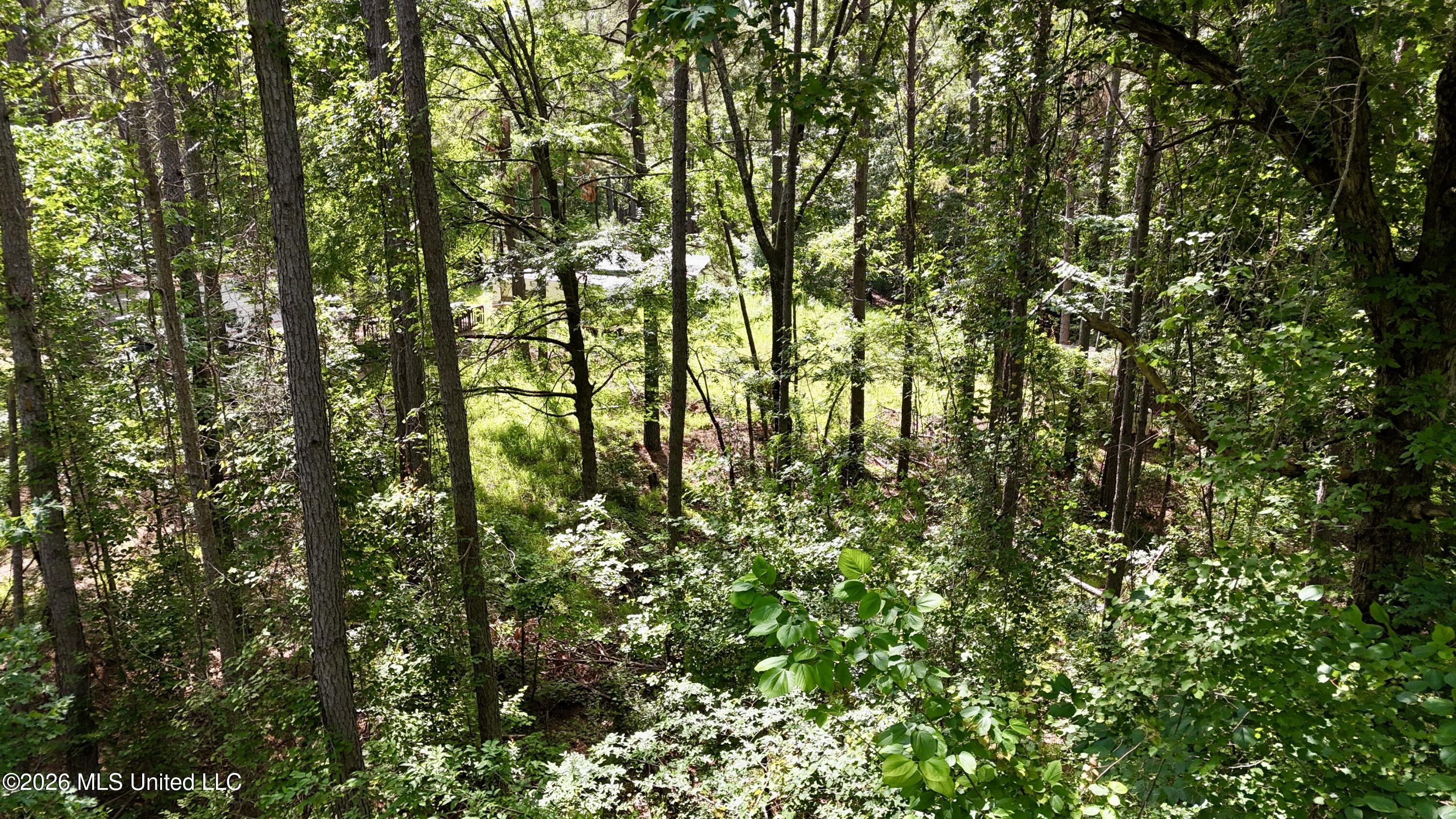 New Hope Road Property Photo 8