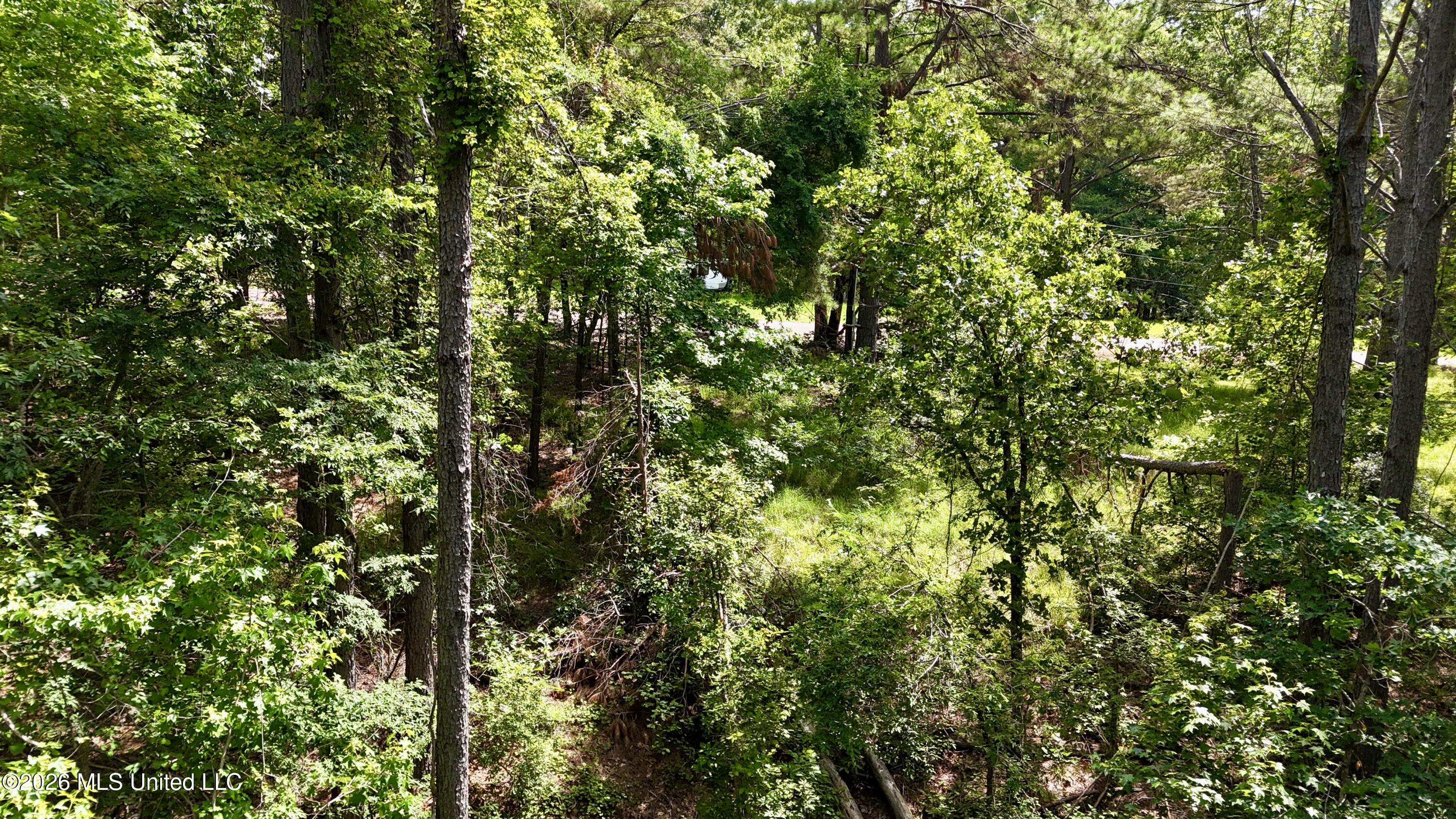 New Hope Road Property Photo 10