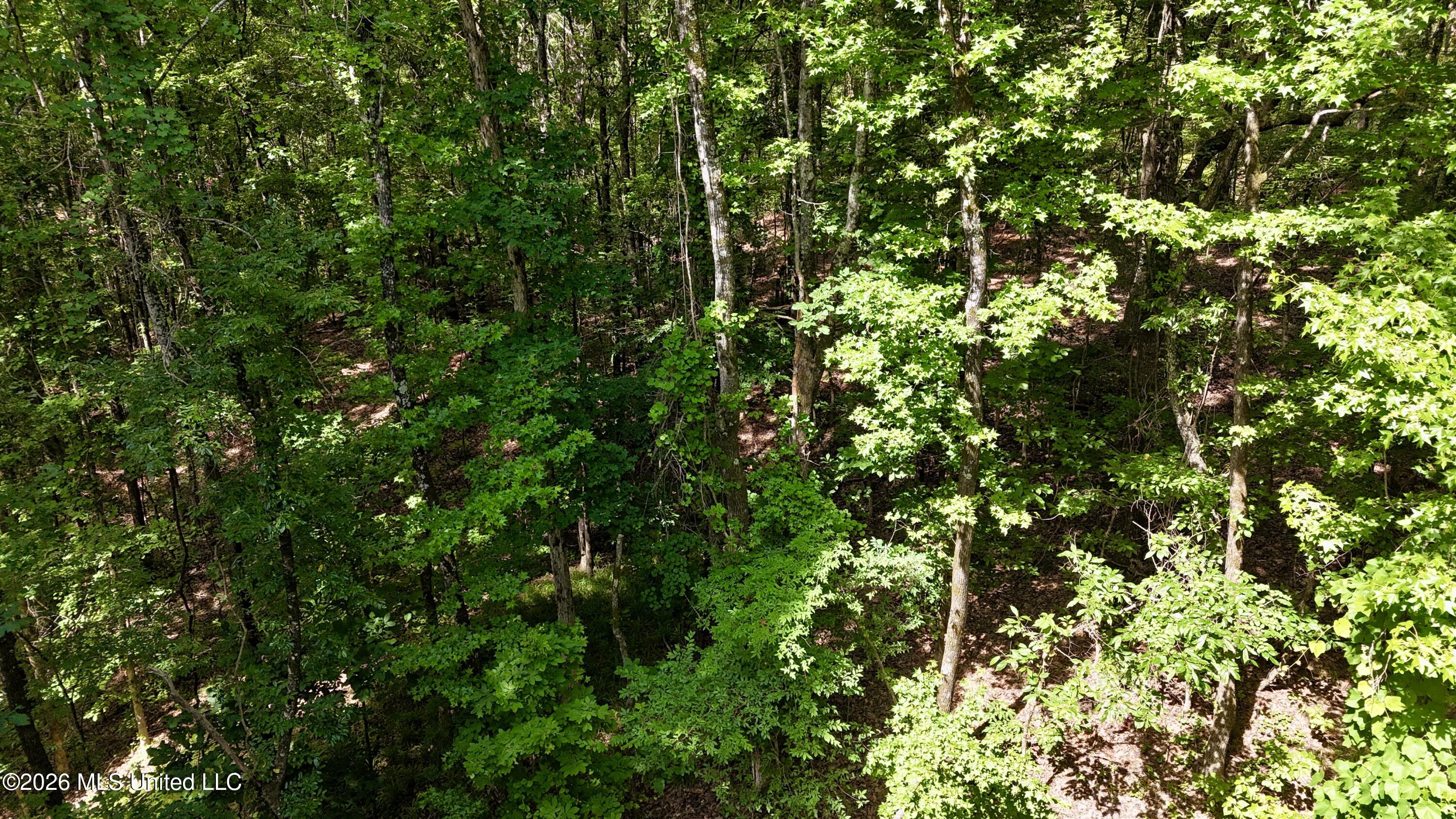 New Hope Road Property Photo 11