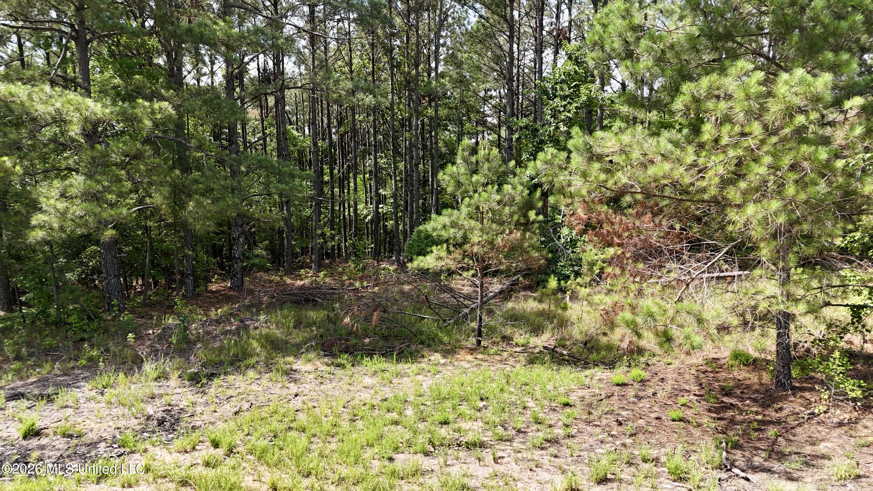 New Hope Road Property Photo 16
