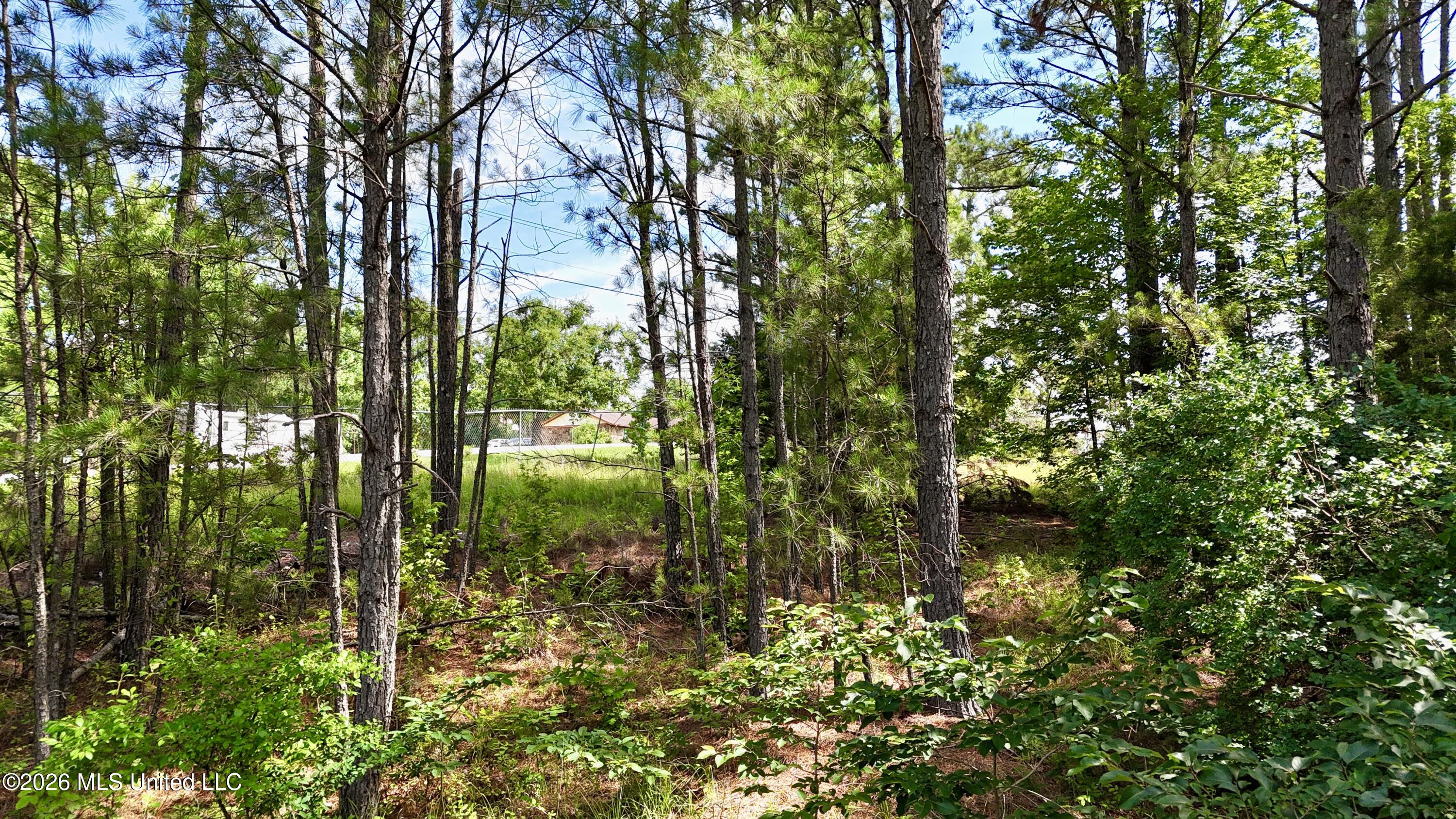 New Hope Road Property Photo 17