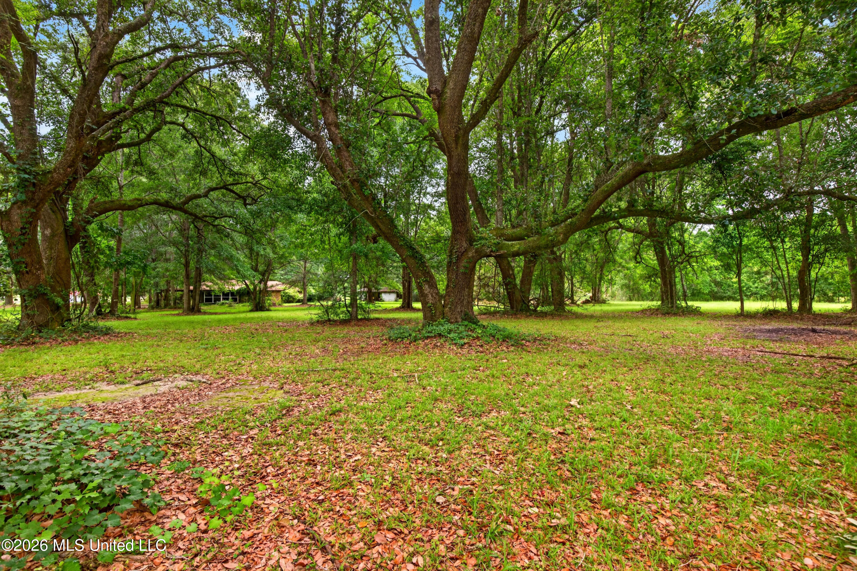 8102 Beatline Road Property Photo 3