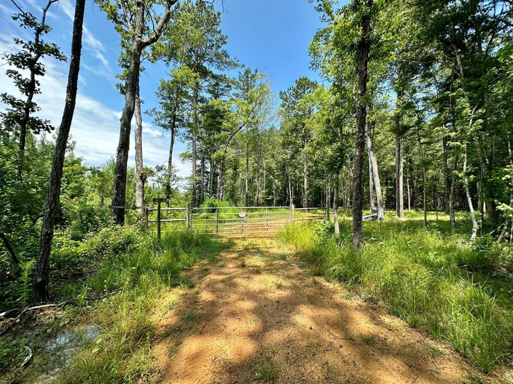 Lee Bass Road Property Photo 1