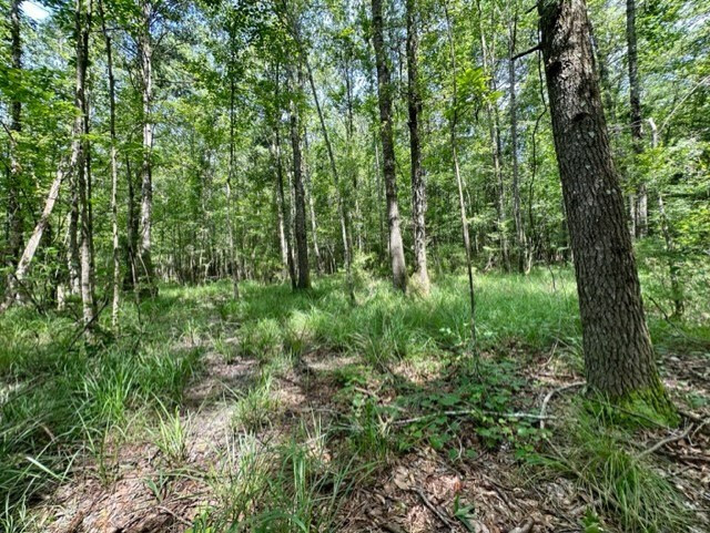 Lee Bass Road Property Photo 3