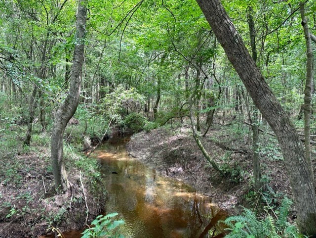 Lee Bass Road Property Photo 5