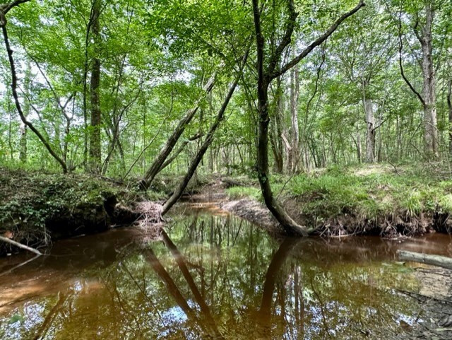 Lee Bass Road Property Photo 6