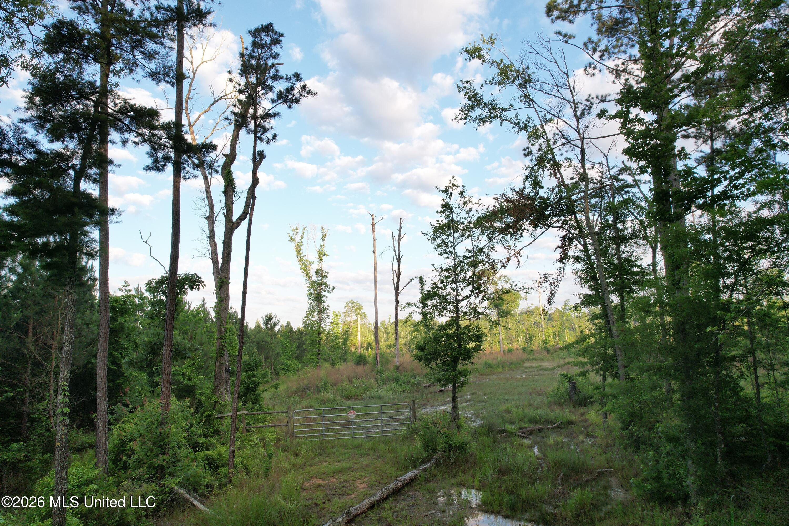 Lee Bass Road Property Photo 14