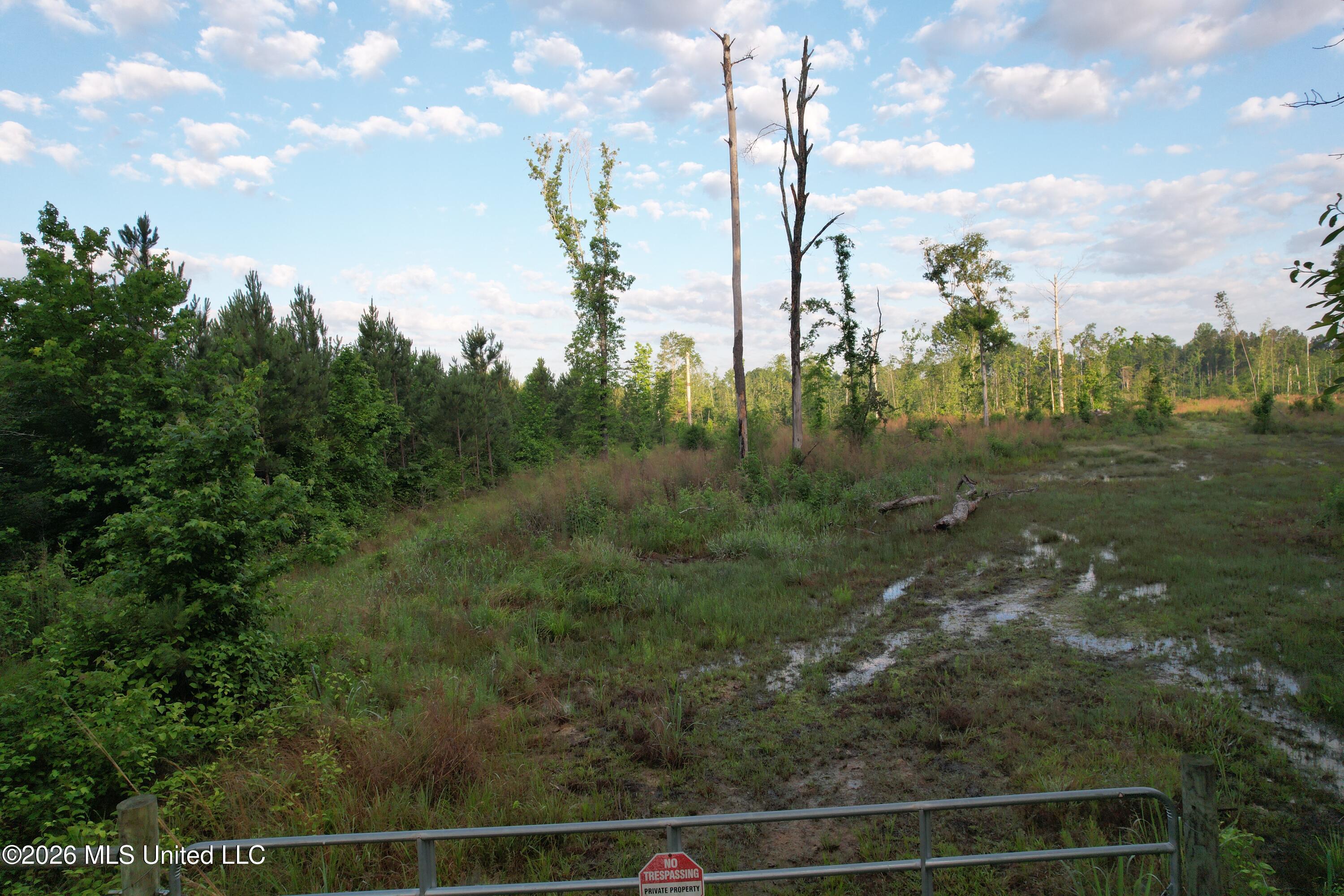 Lee Bass Road Property Photo 15