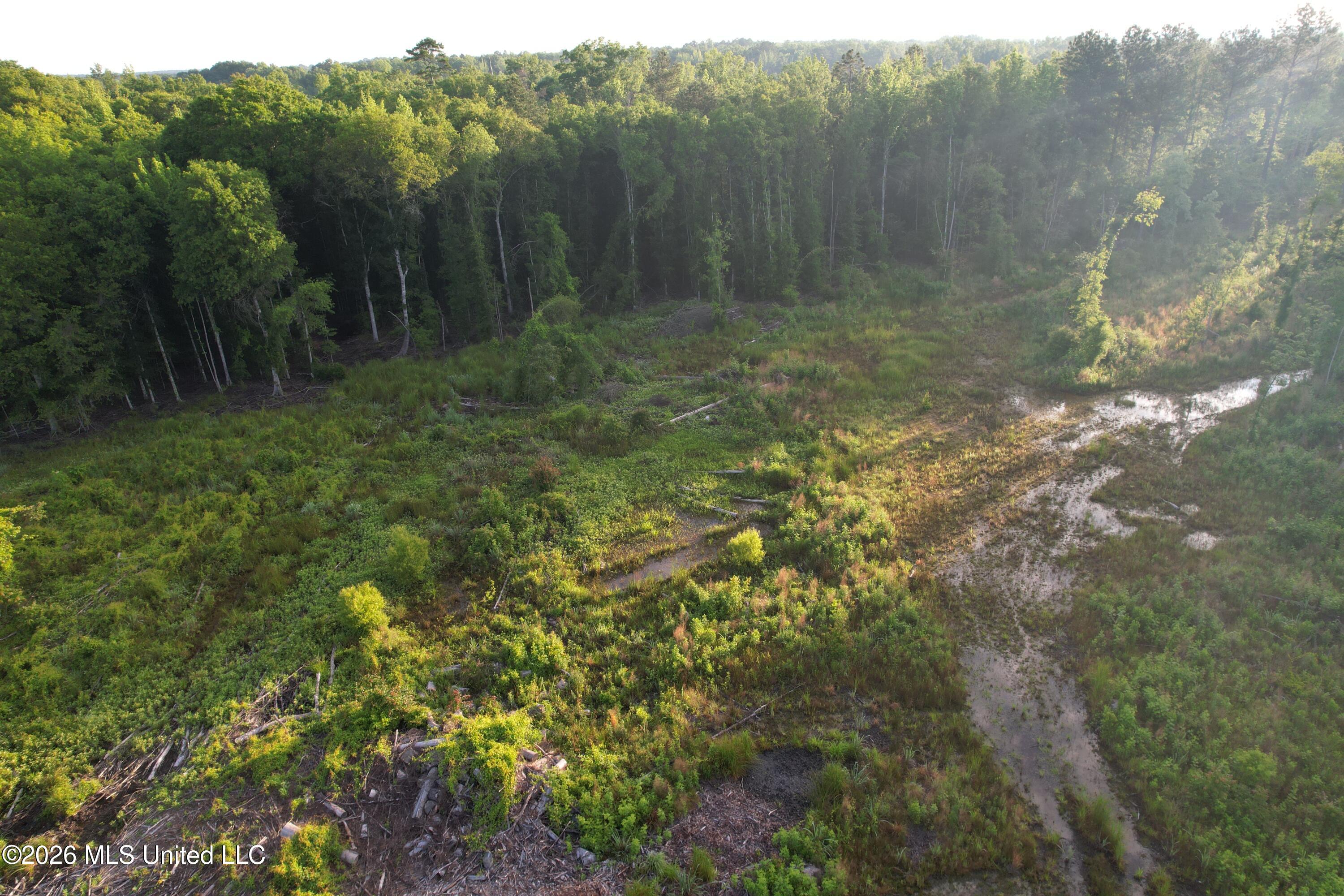 Lee Bass Road Property Photo 17