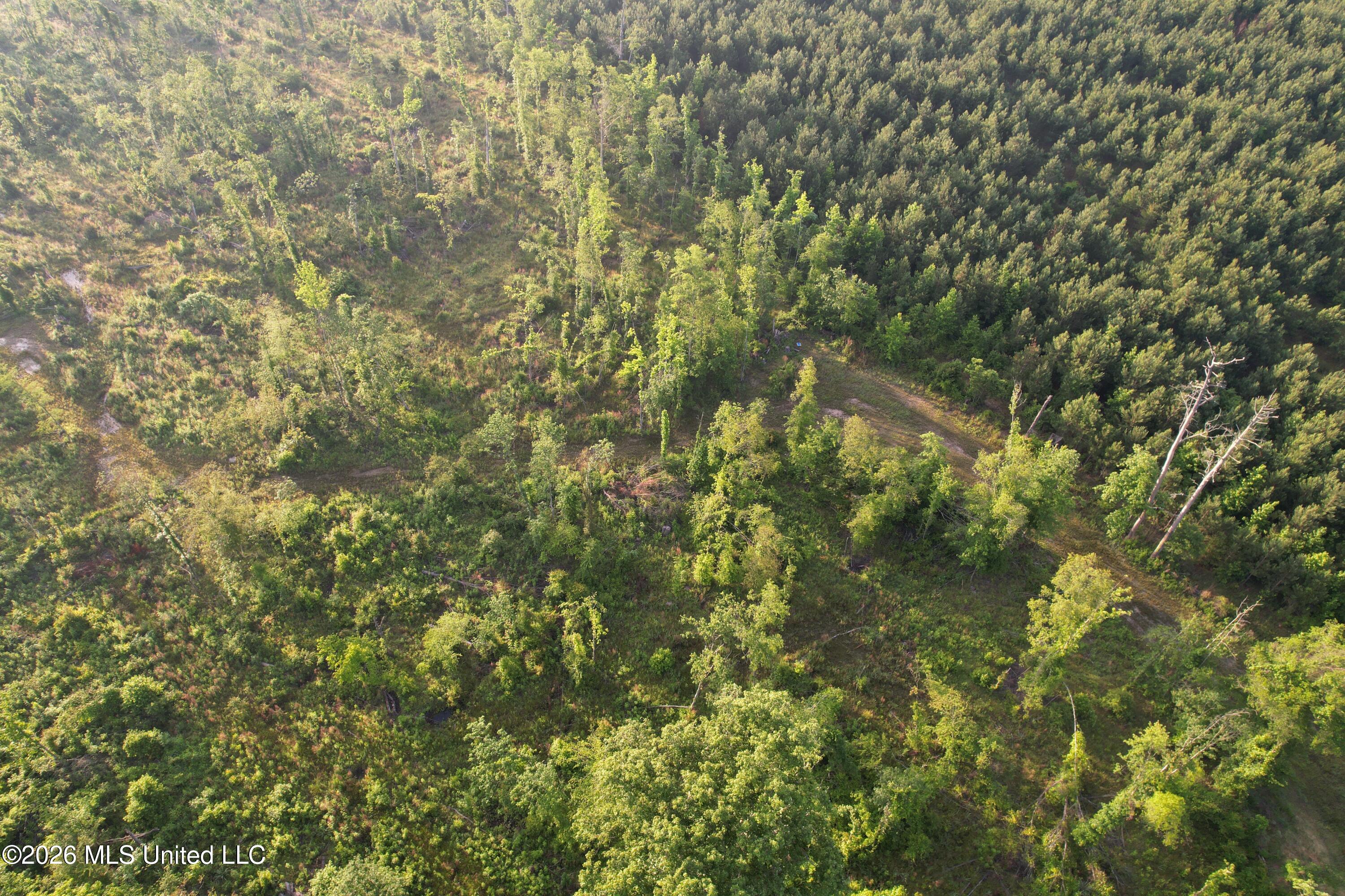 Lee Bass Road Property Photo 18