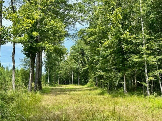 Lee Bass Road Property Photo 25