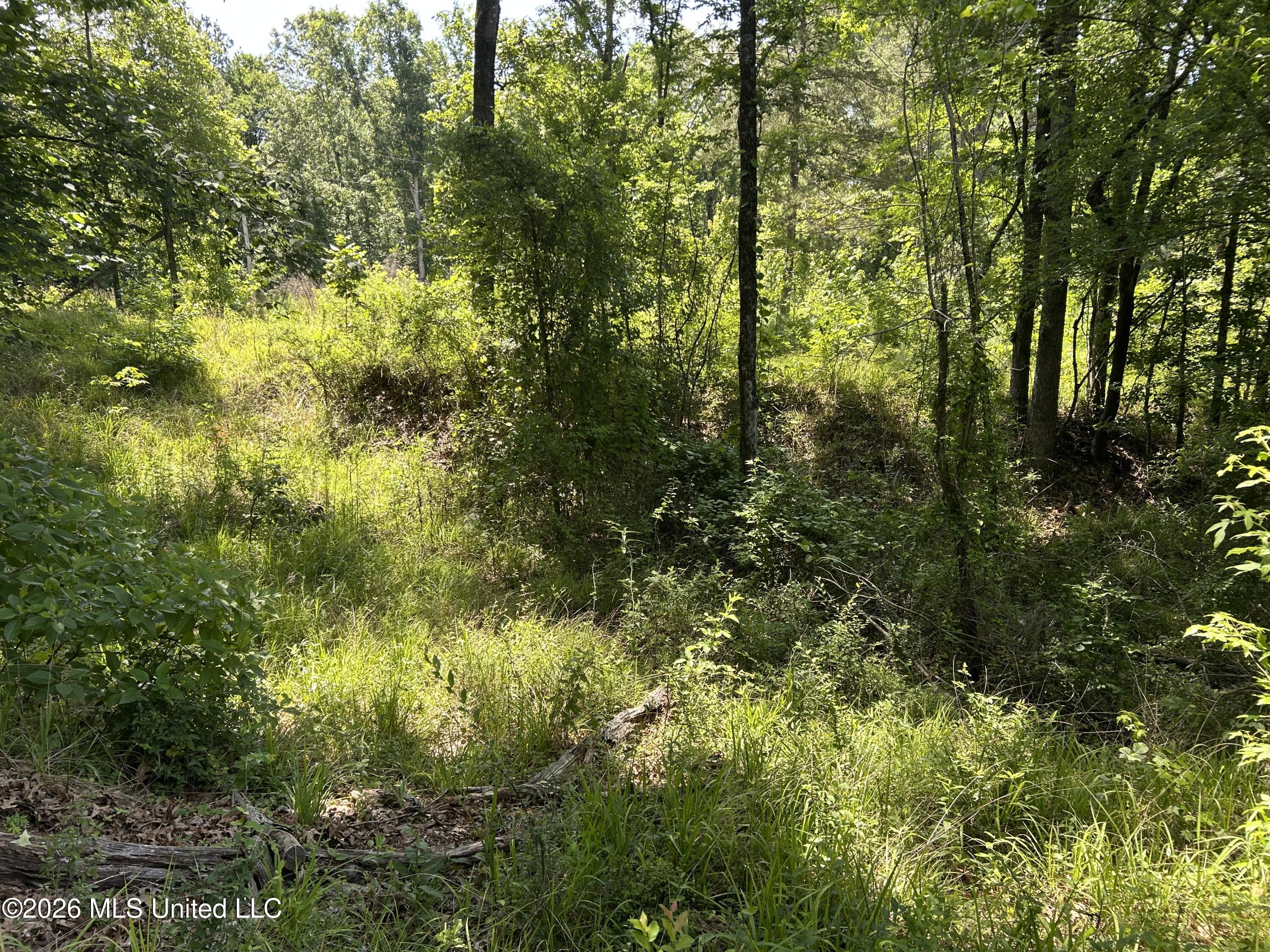 Sleepy Hollow Road Property Photo 1