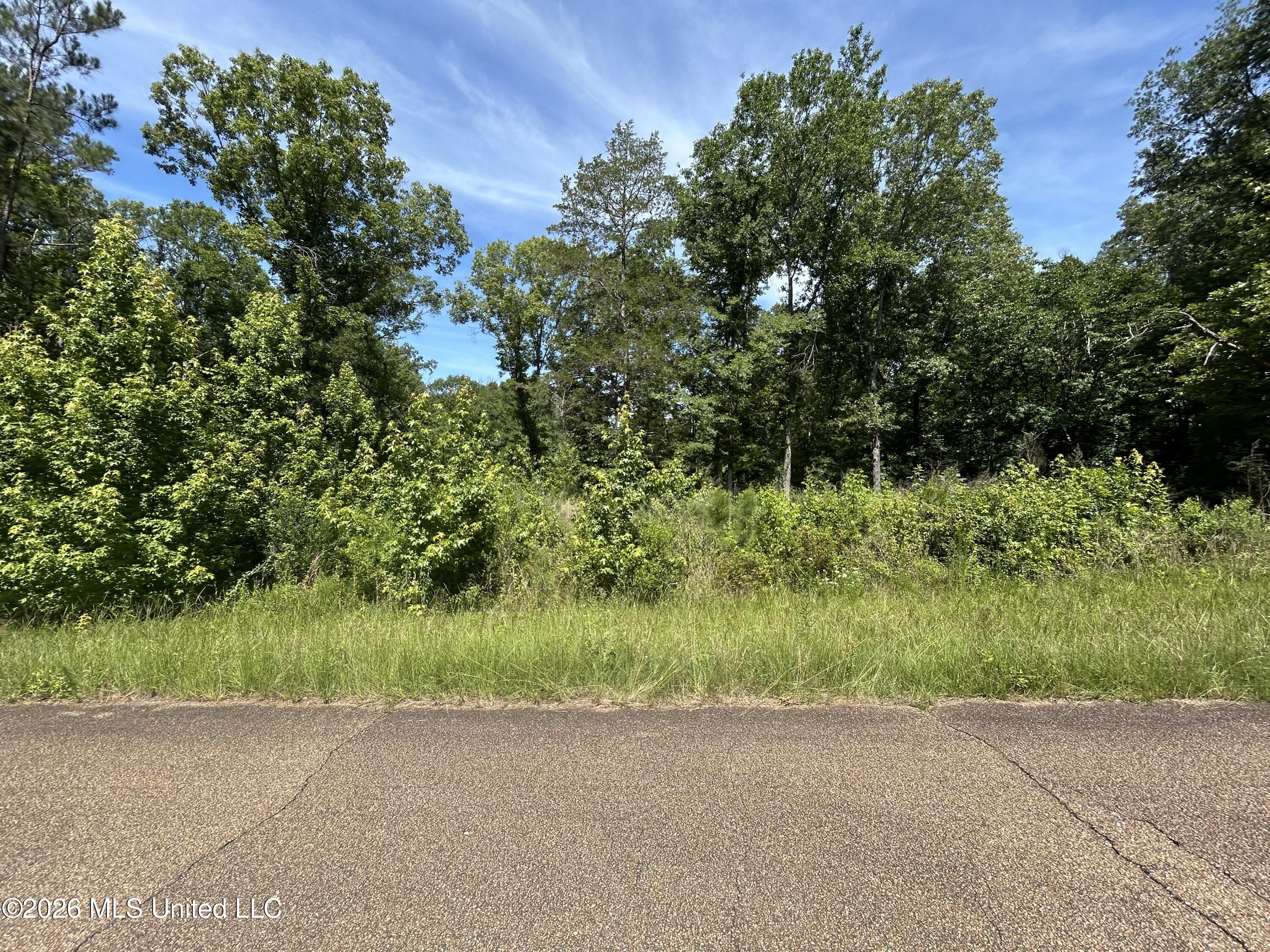 Sleepy Hollow Road Property Photo 2