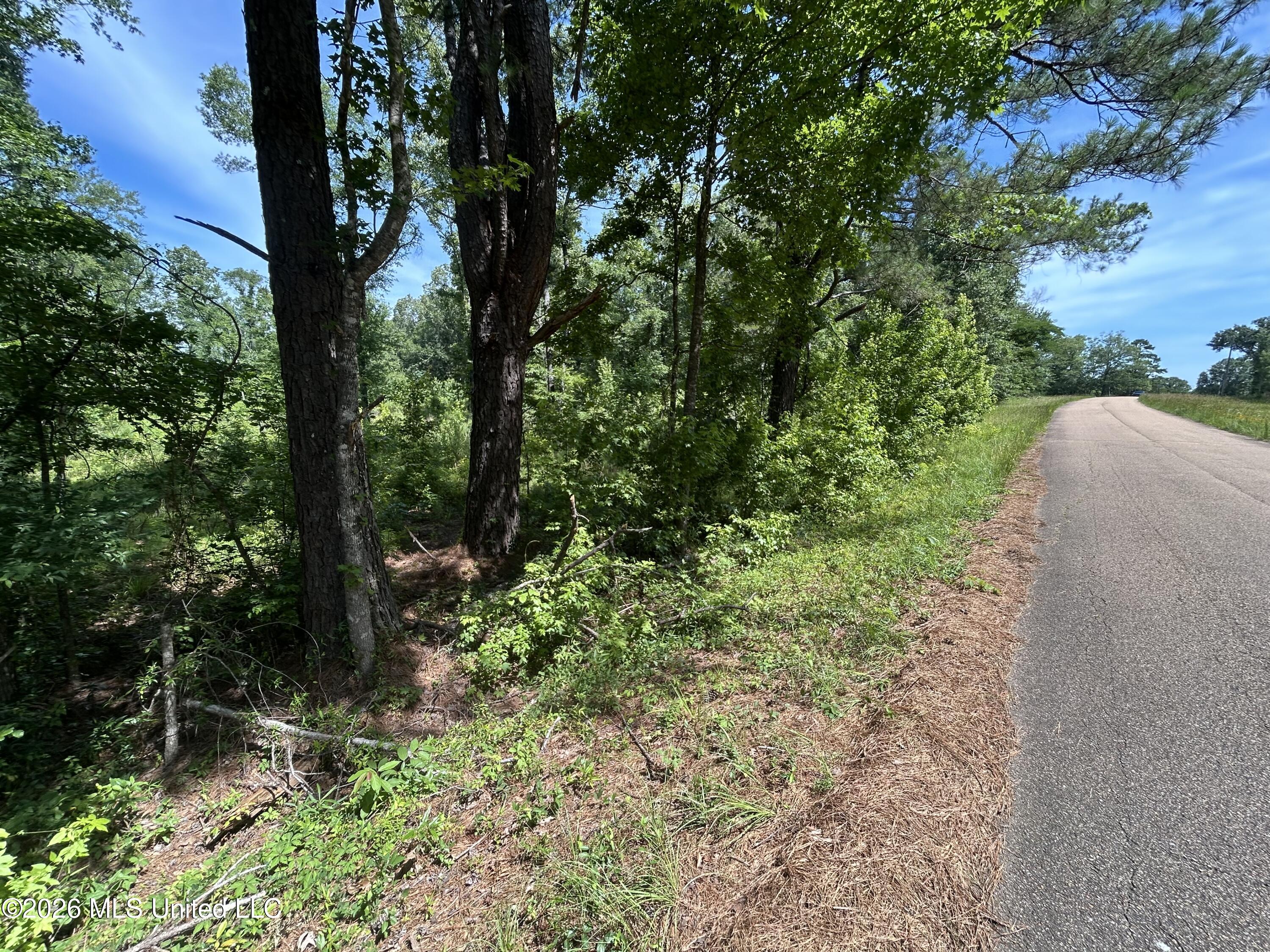 Sleepy Hollow Road Property Photo 4