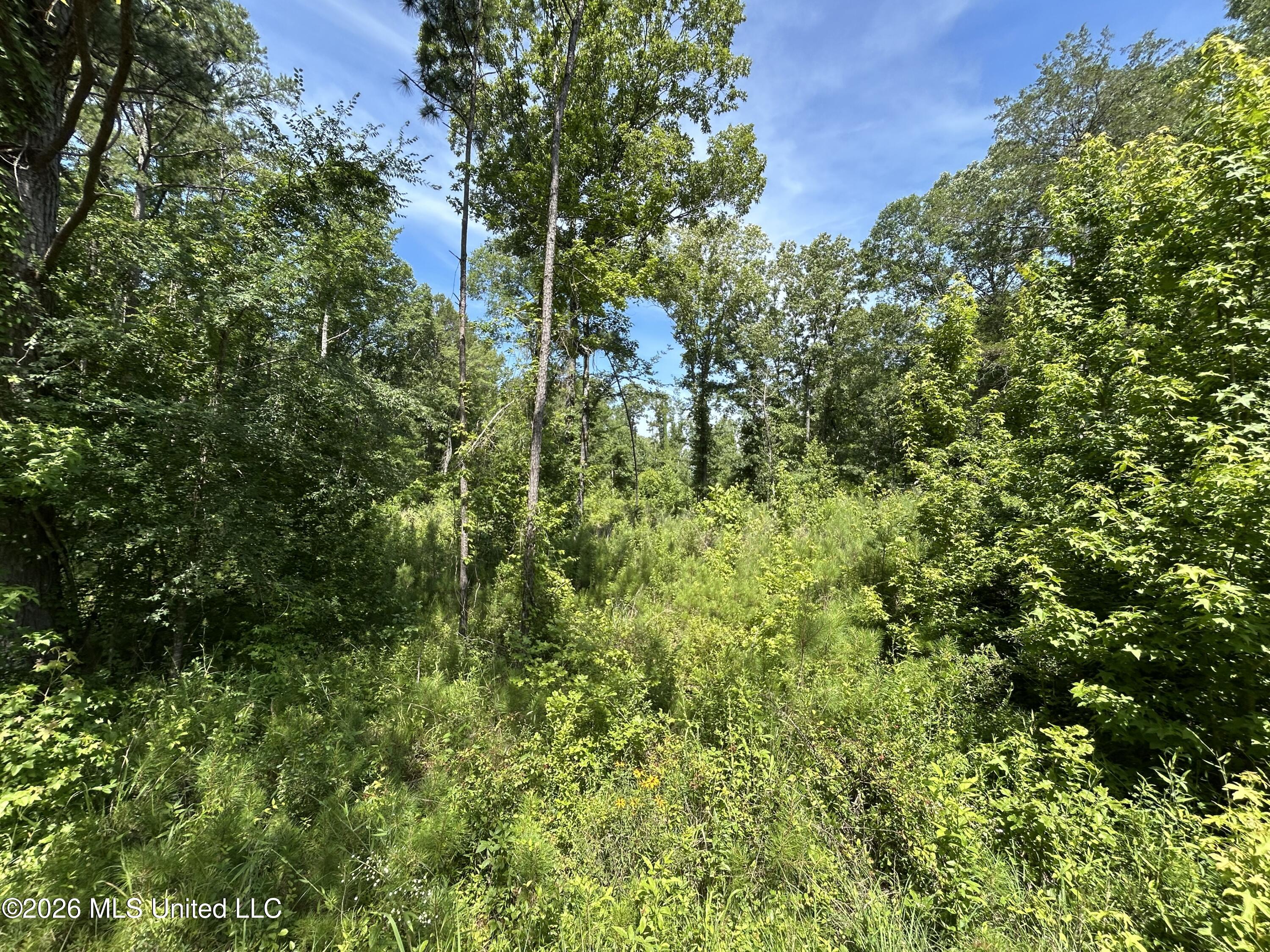 Sleepy Hollow Road Property Photo 5