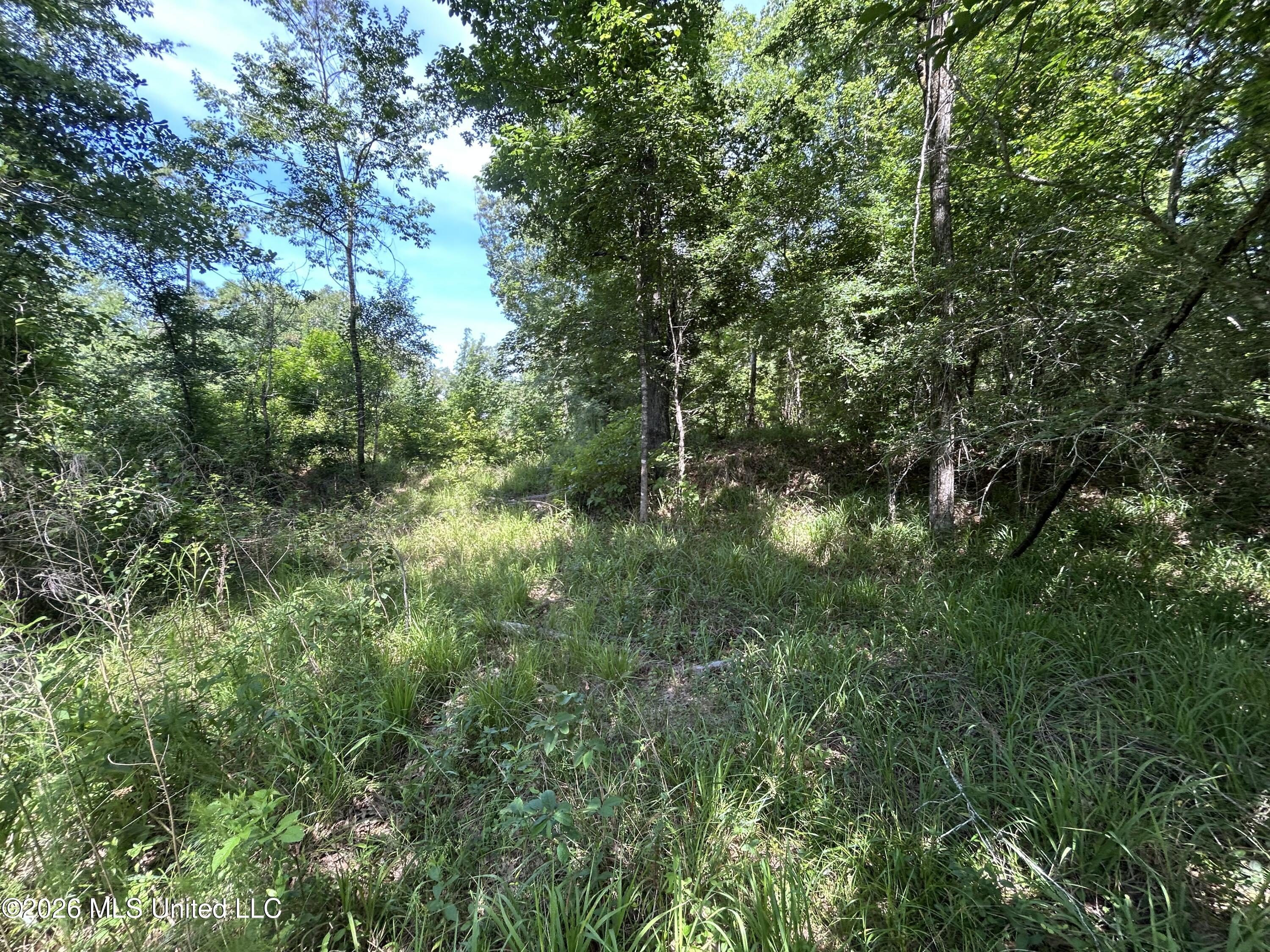 Sleepy Hollow Road Property Photo 6