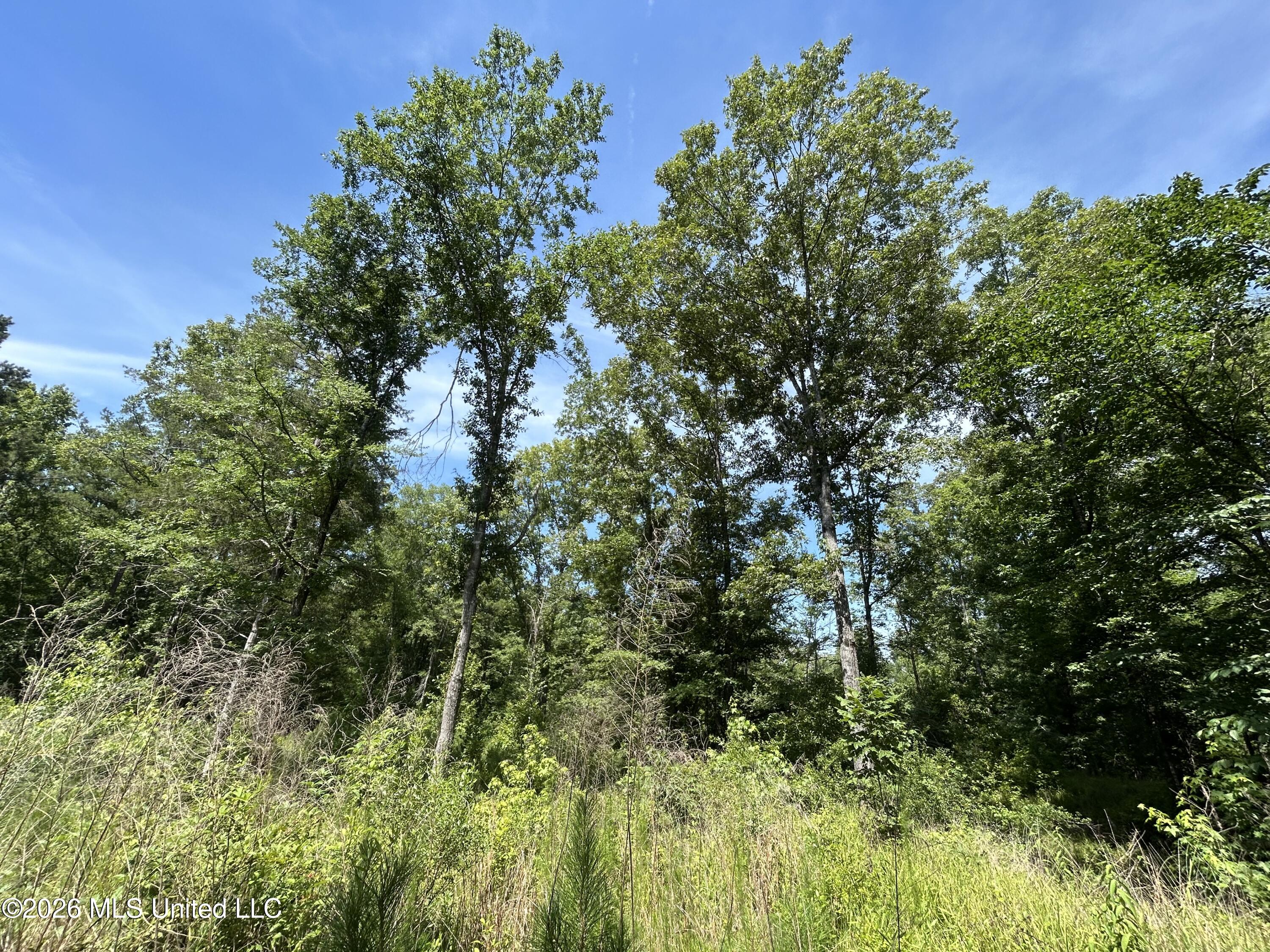 Sleepy Hollow Road Property Photo 7
