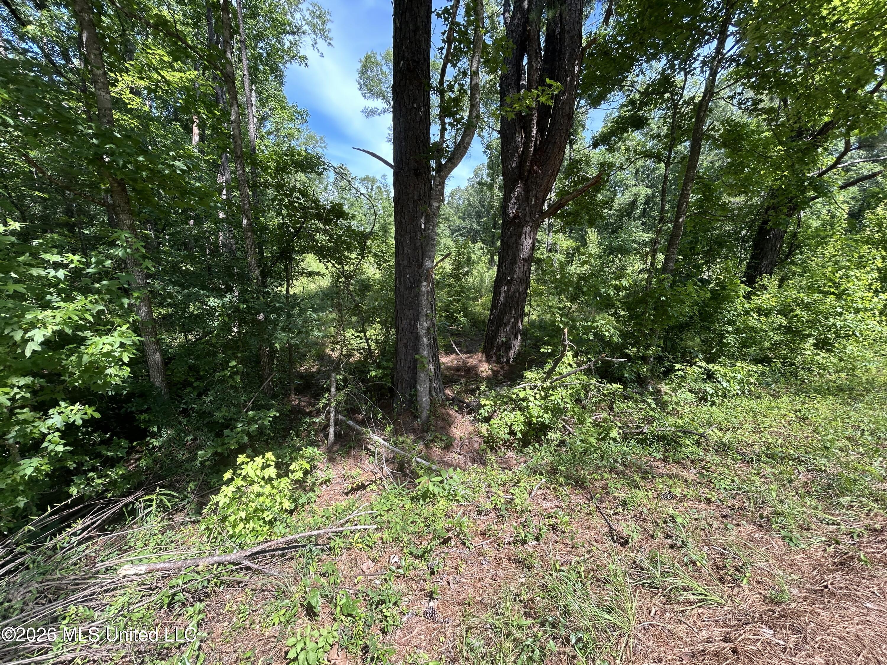Sleepy Hollow Road Property Photo 8
