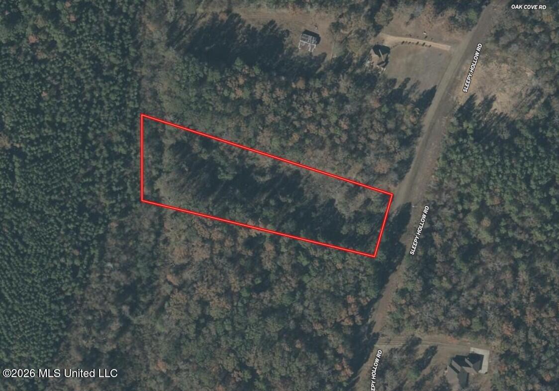 Sleepy Hollow Road Property Photo 10