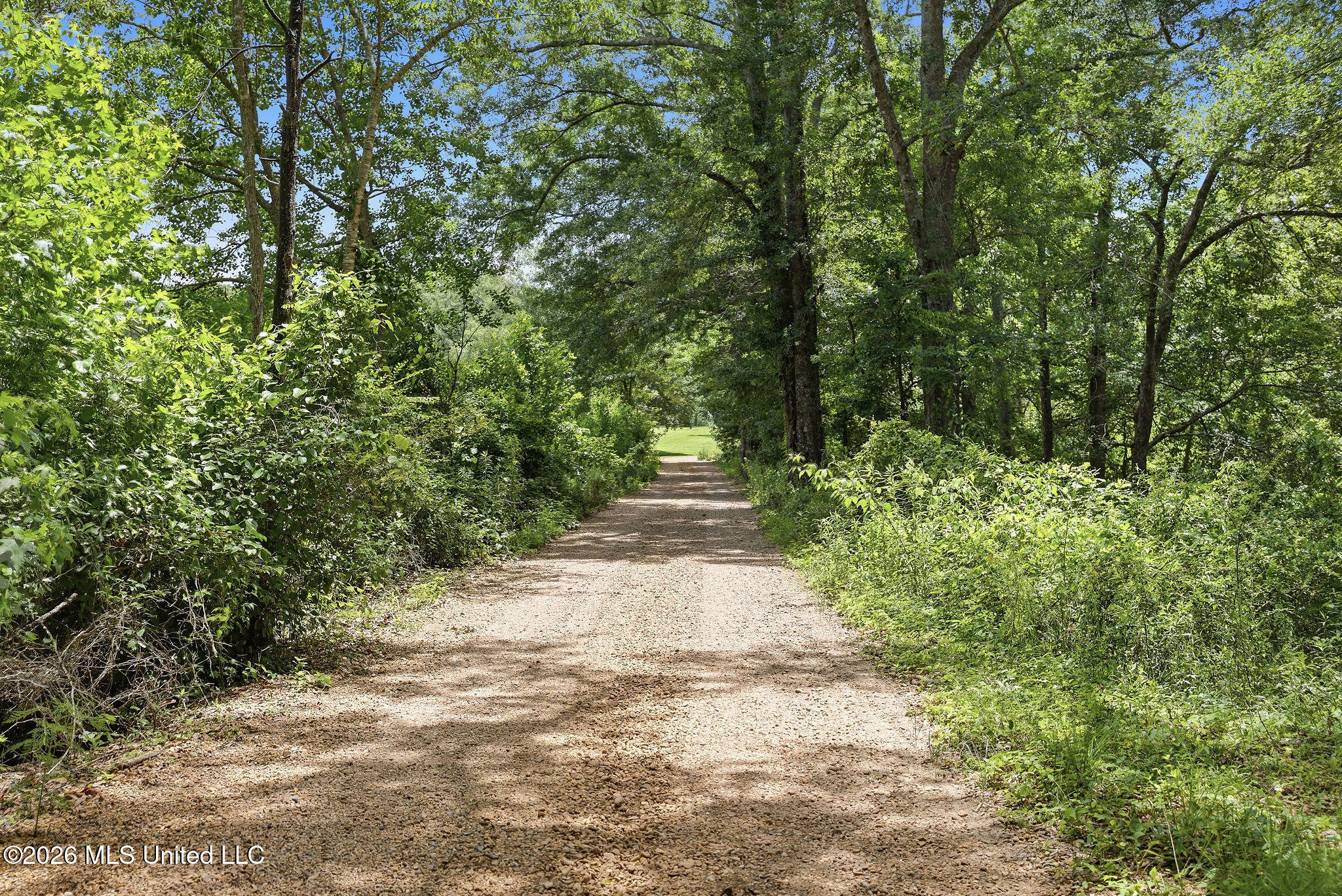 1122 Willis Cotton Road Property Photo 3