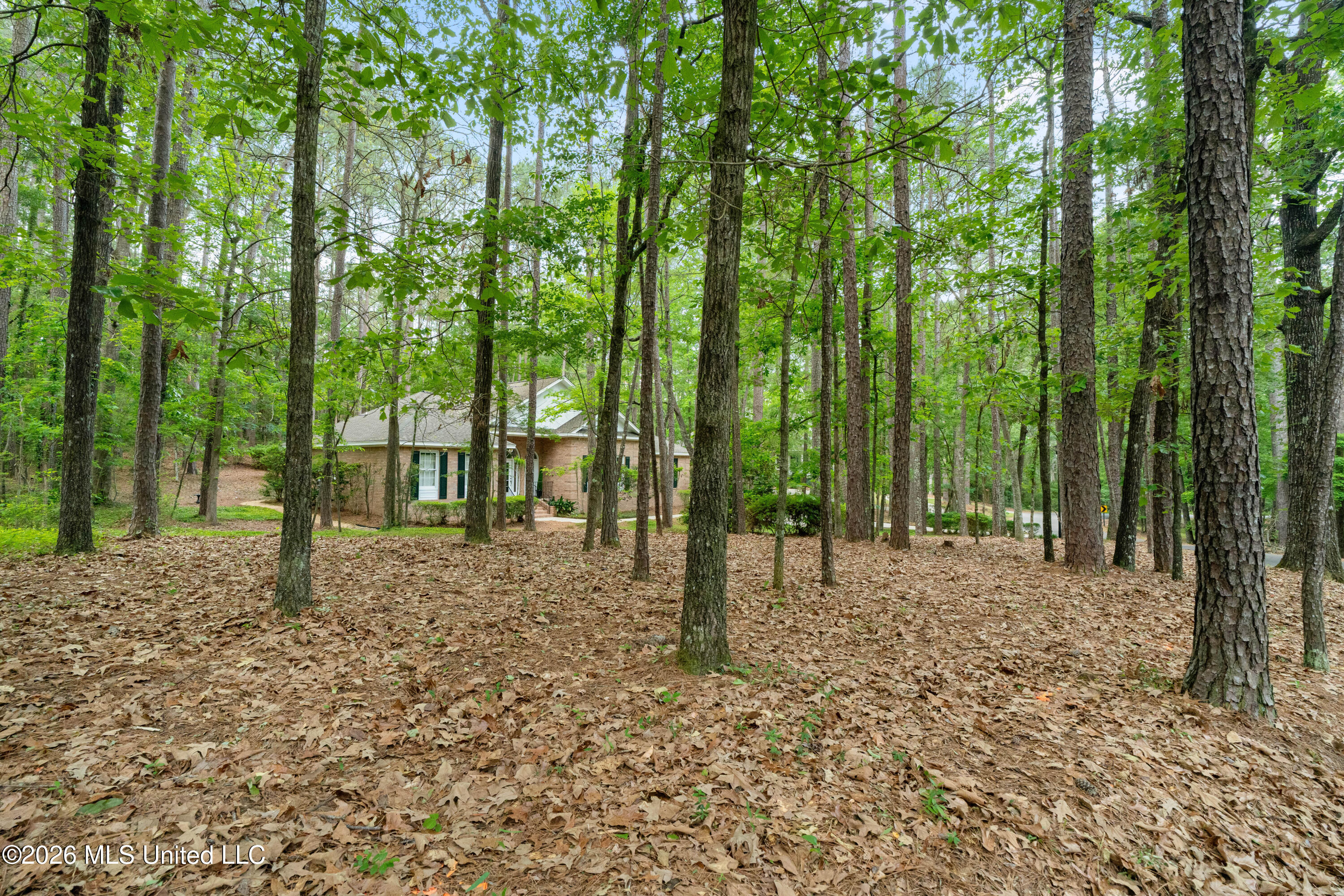28 Canebrake Boulevard Property Photo 3