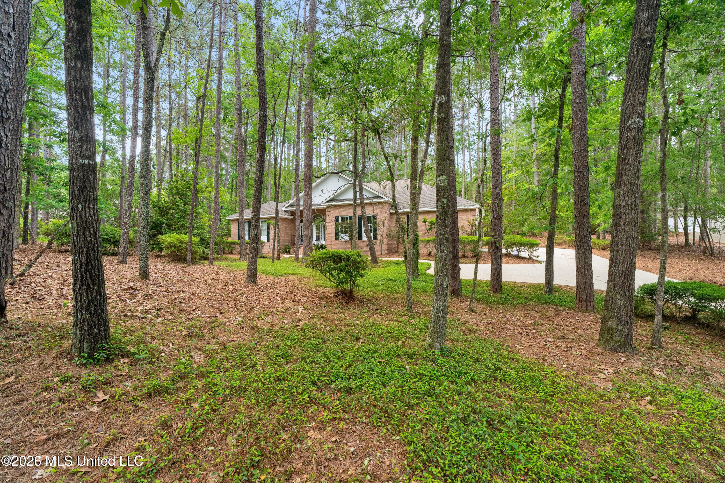 28 Canebrake Boulevard Property Photo 9