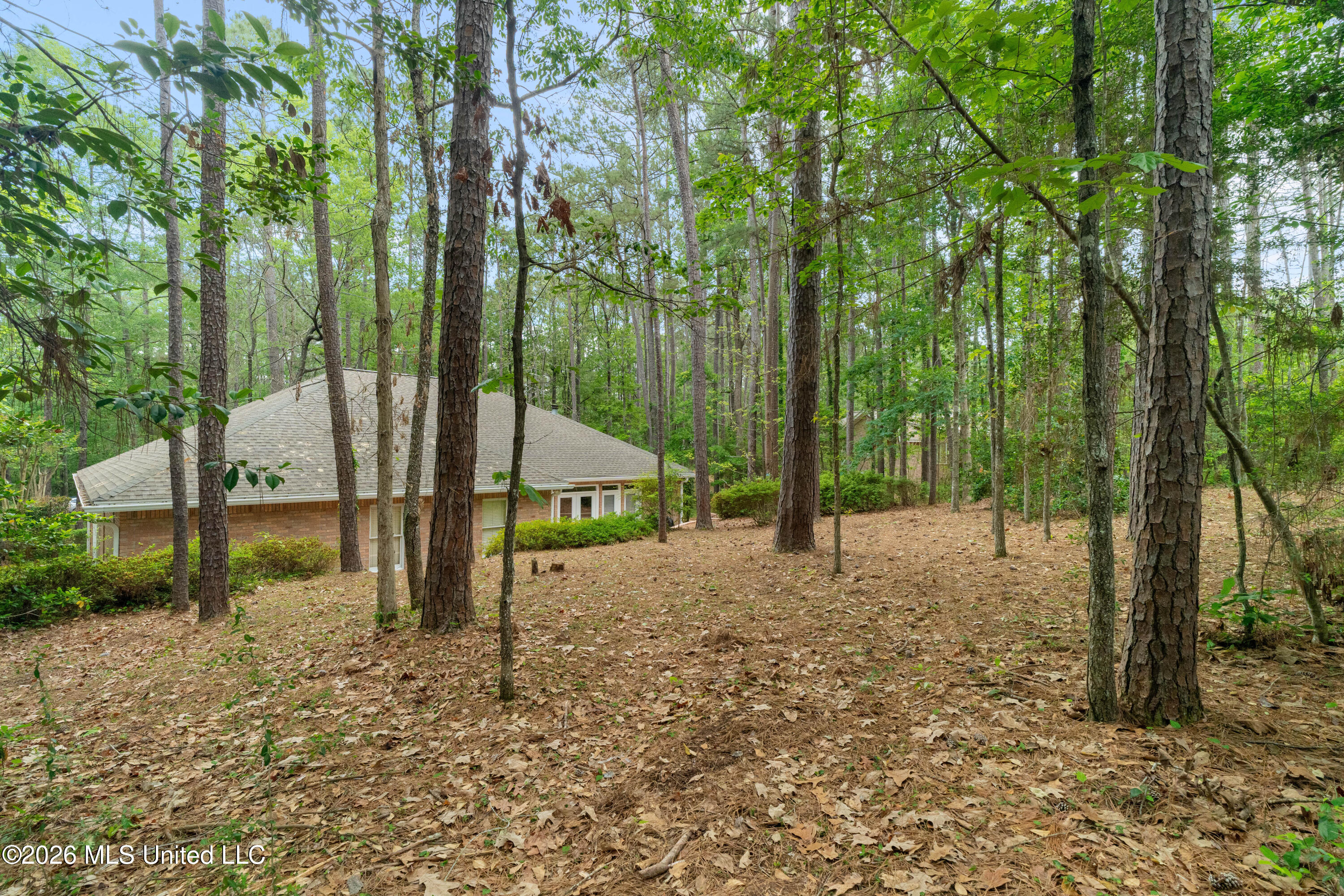 28 Canebrake Boulevard Property Photo 13