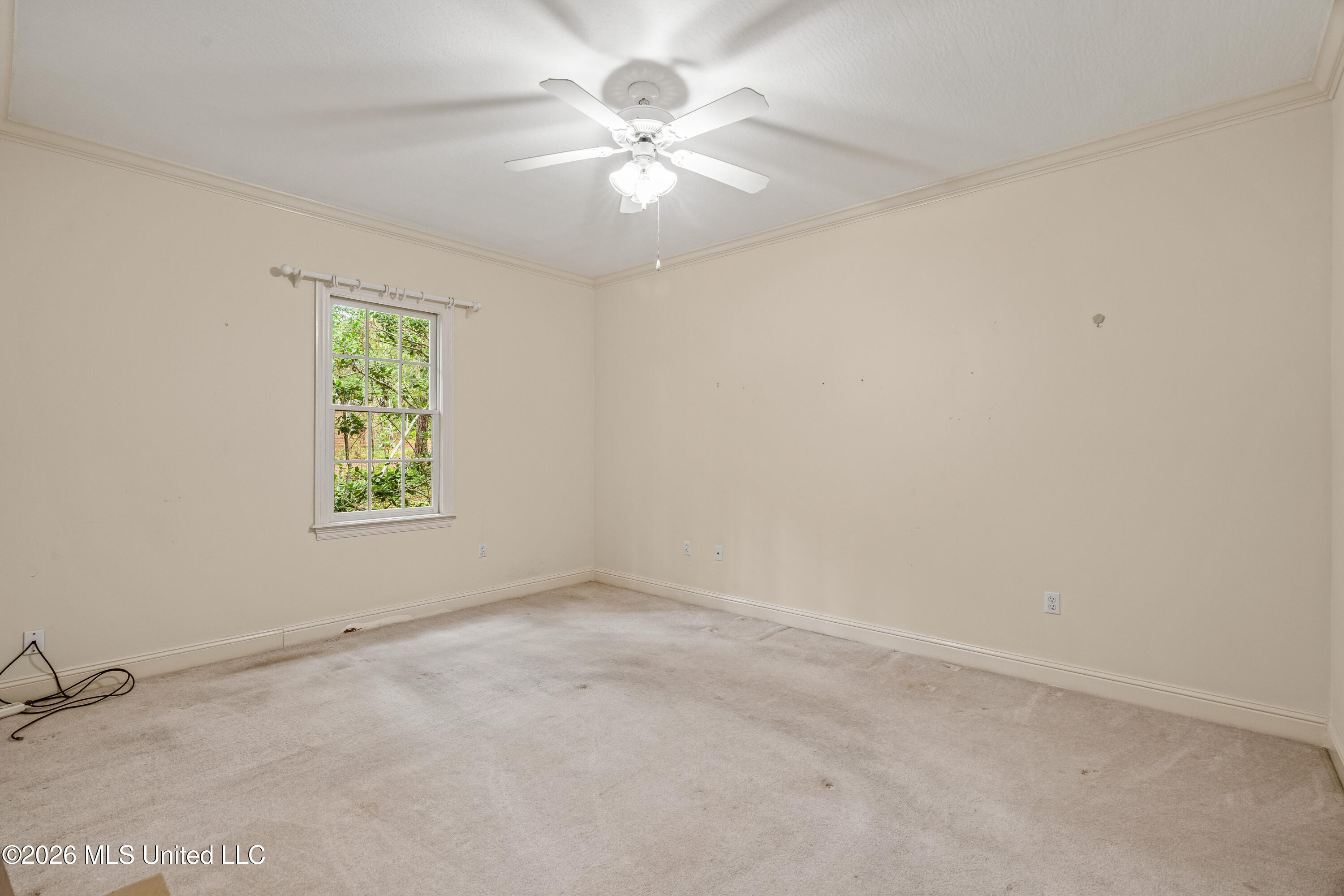 28 Canebrake Boulevard Property Photo 14