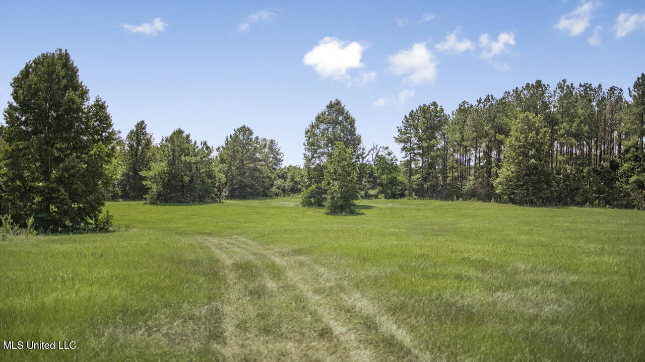 3088 Terrys Creek Road Property Photo 40
