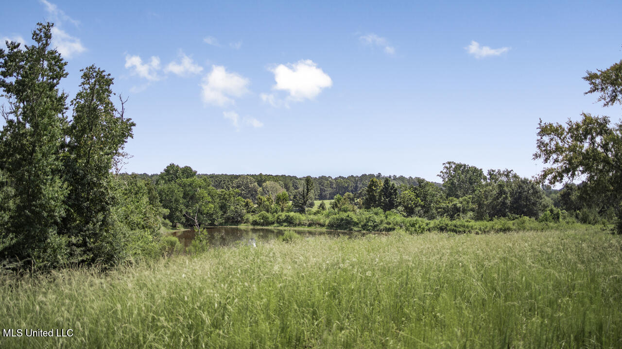 3088 Terrys Creek Road Property Photo 41