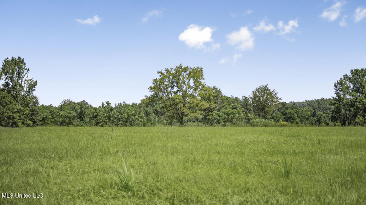 3088 Terrys Creek Road Property Photo 42
