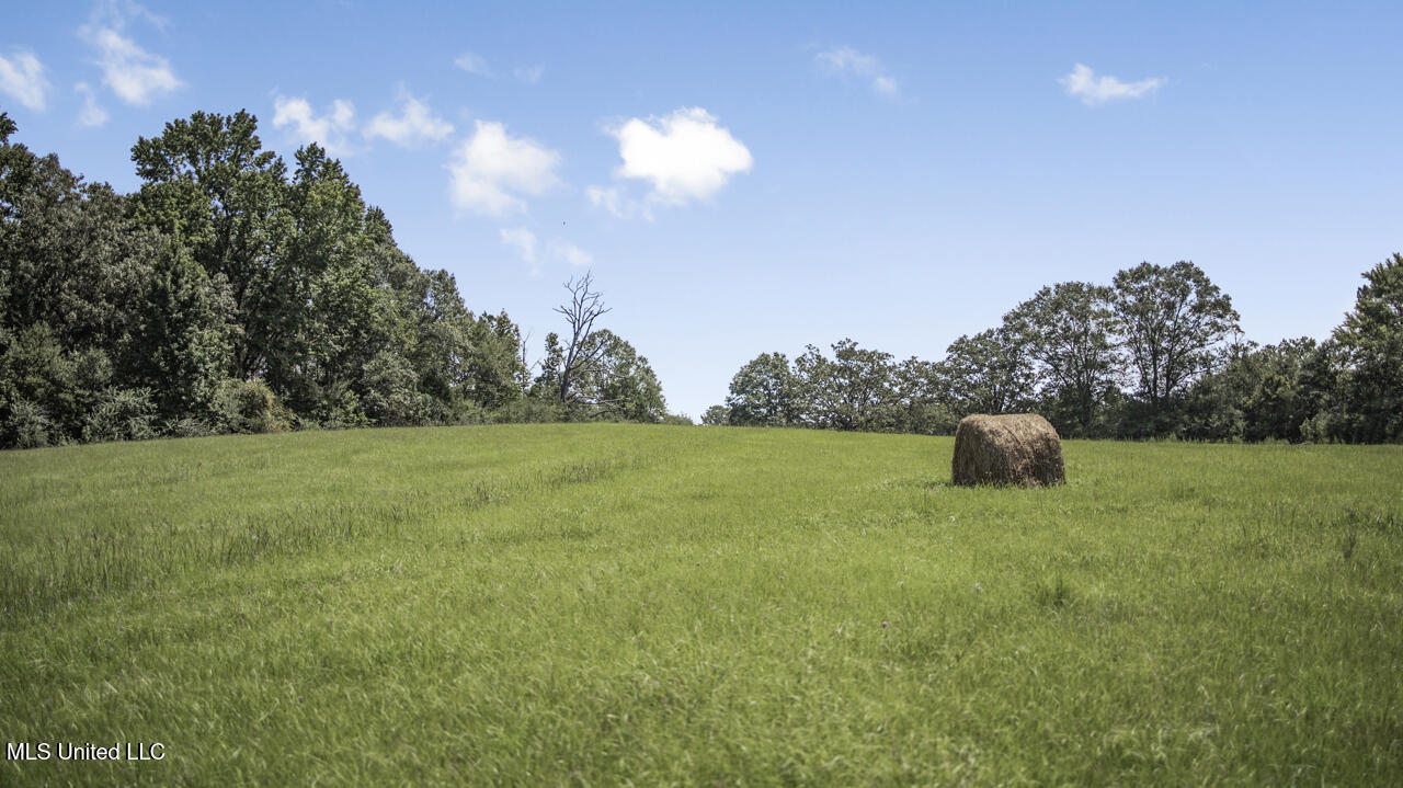 3088 Terrys Creek Road Property Photo 43