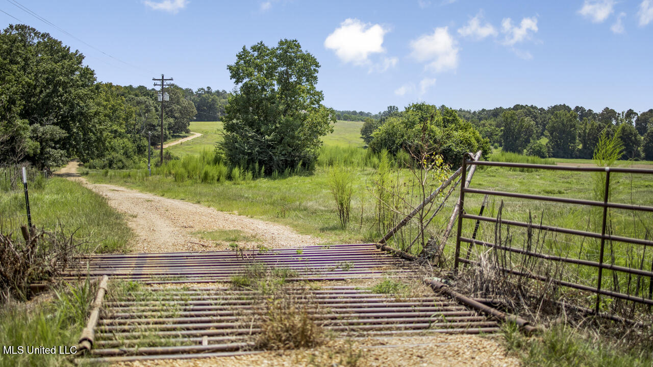 3088 Terrys Creek Road Property Photo 44