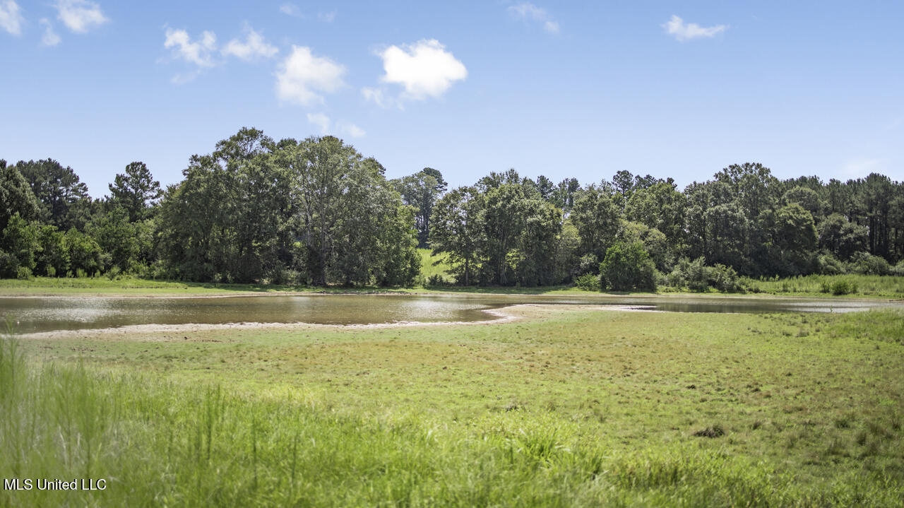 3088 Terrys Creek Road Property Photo 45