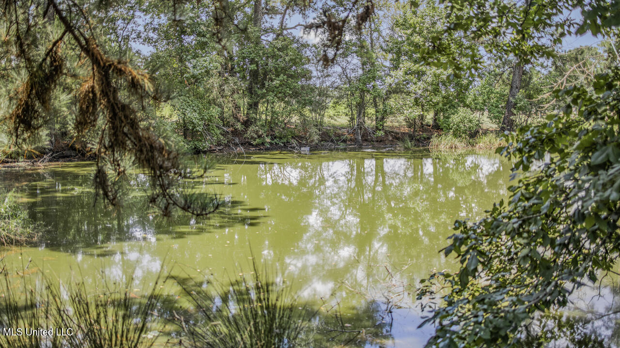 3088 Terrys Creek Road Property Photo 47