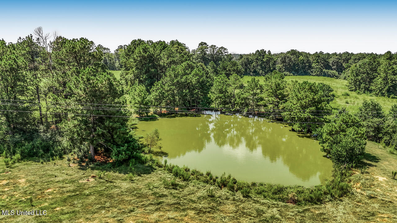 3088 Terrys Creek Road Property Photo 54