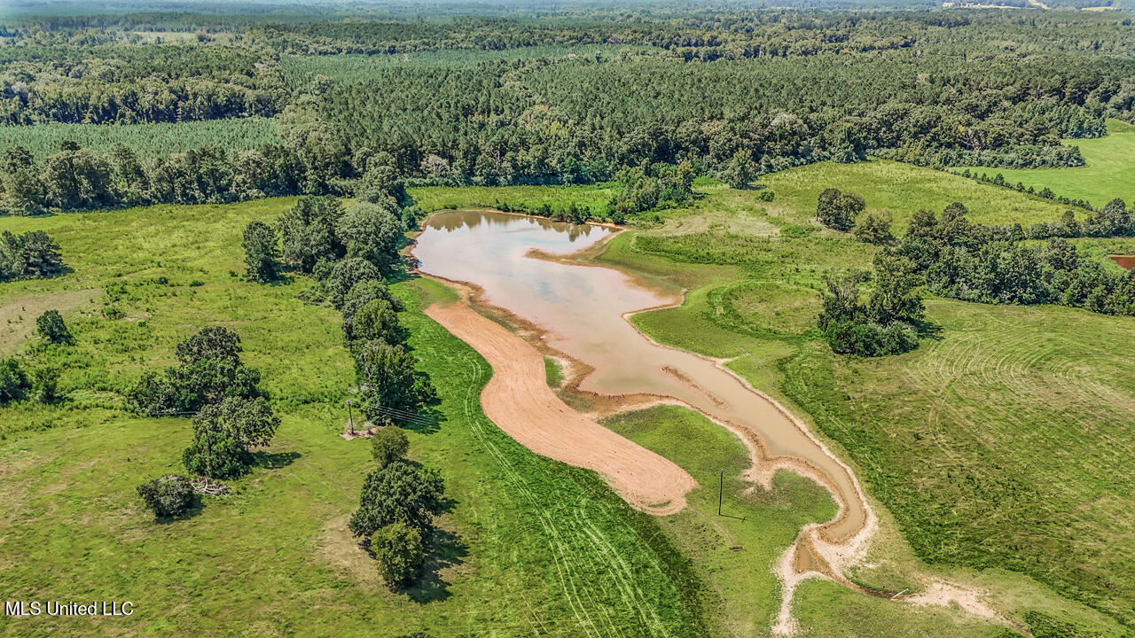 3088 Terrys Creek Road Property Photo 55