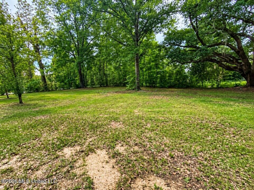 100 Gulf Camp Road Property Photo 15