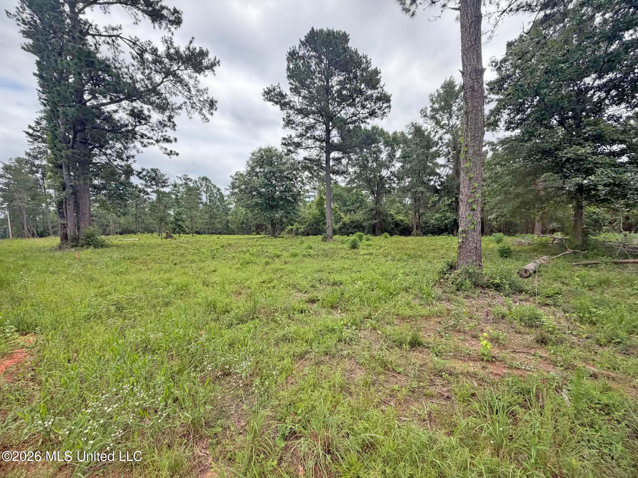 Parcel 3 Old Highway 63 Property Photo 1