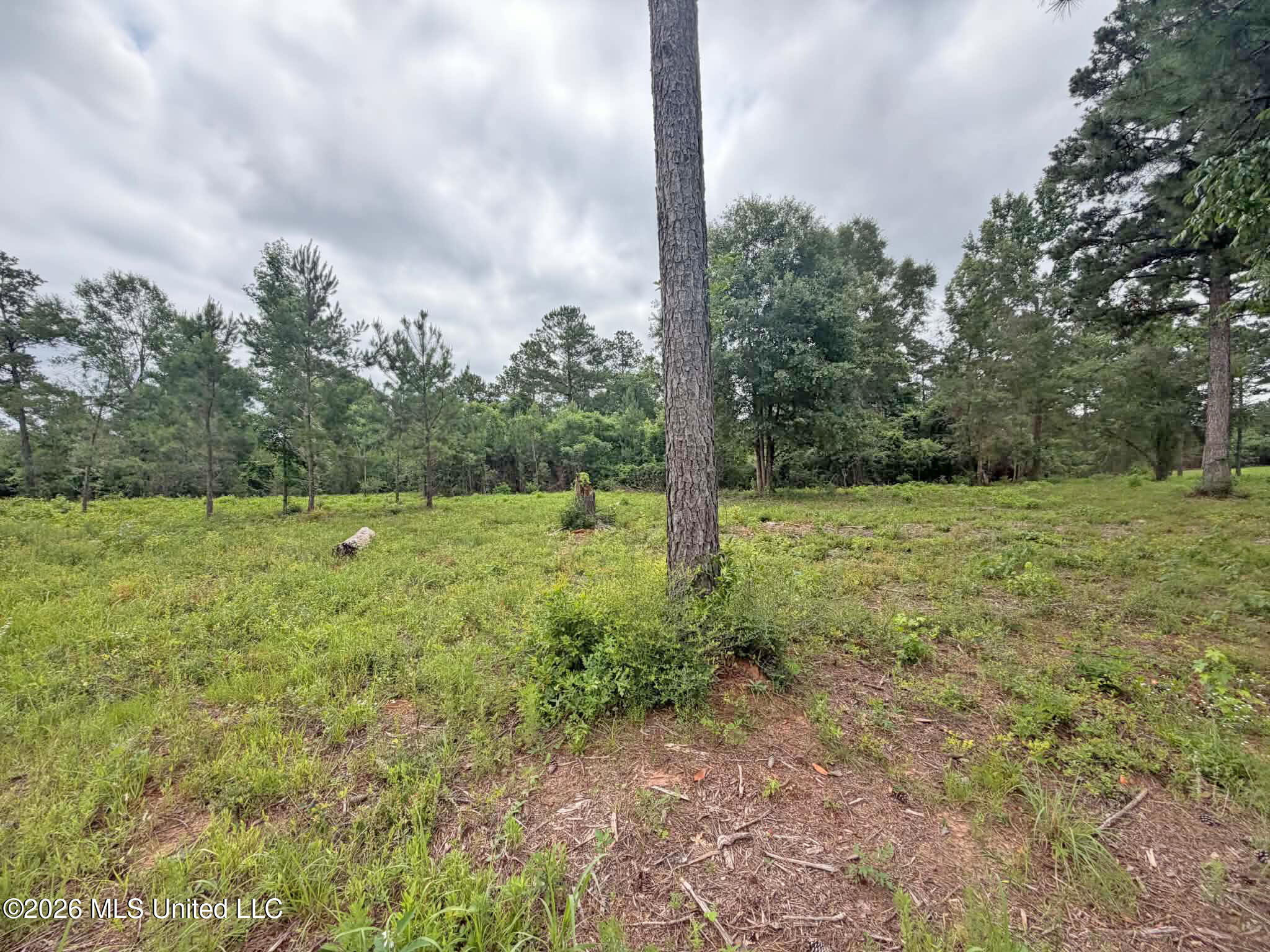 Parcel 4 N Old 63 Highway Property Photo 2