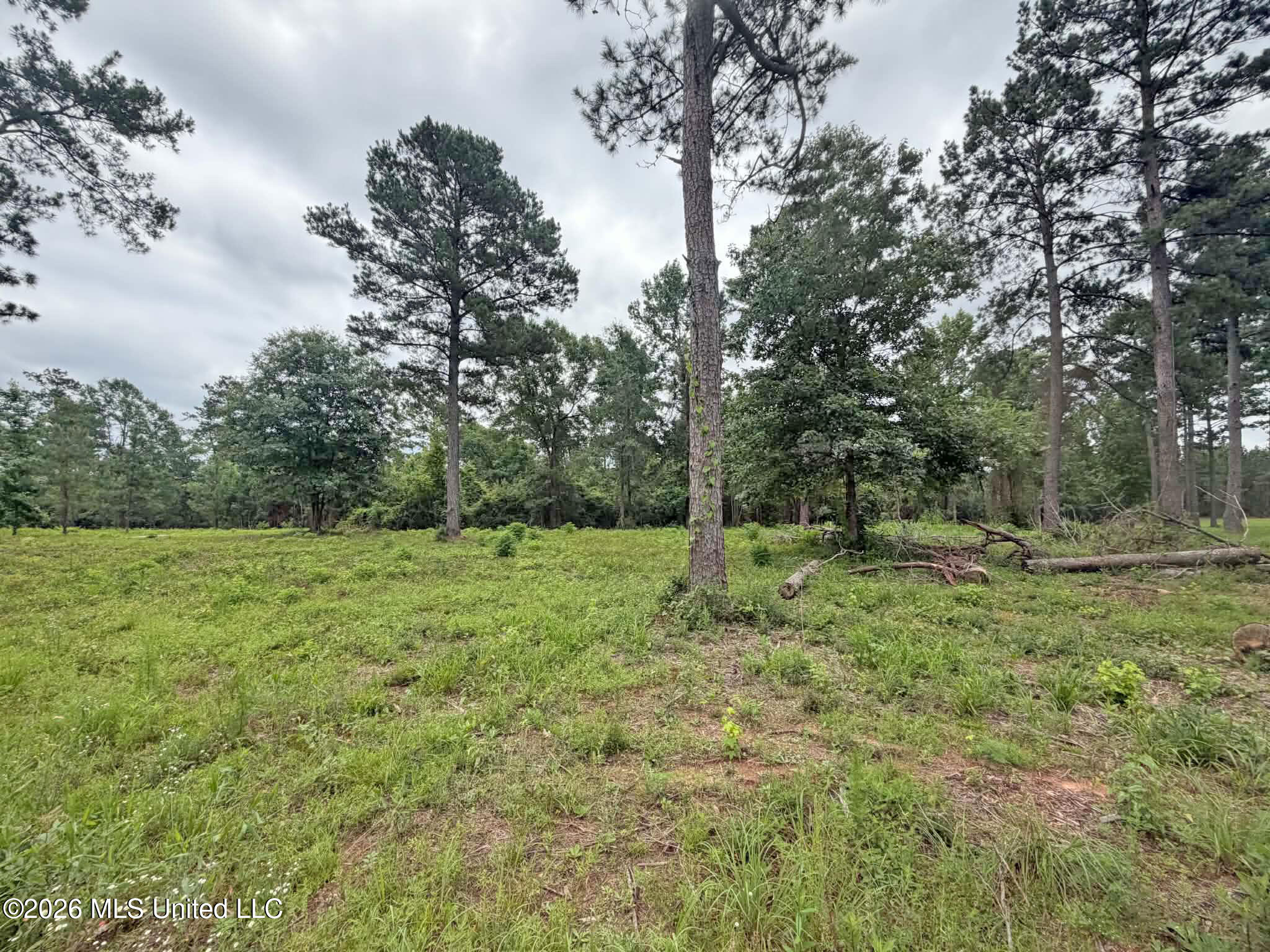 Parcel 4 N Old 63 Highway Property Photo 3
