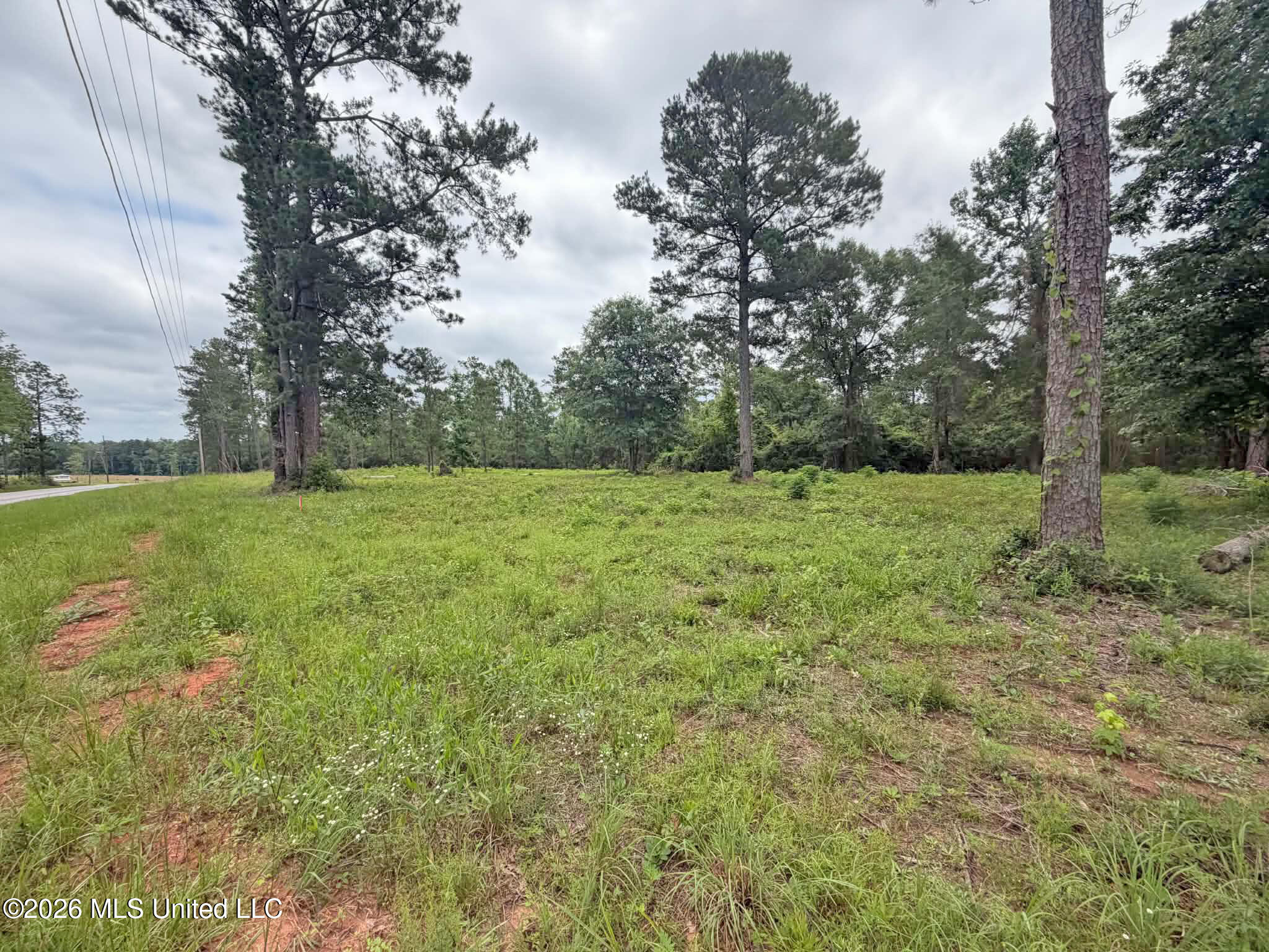 Parcel 4 N Old 63 Highway Property Photo 5