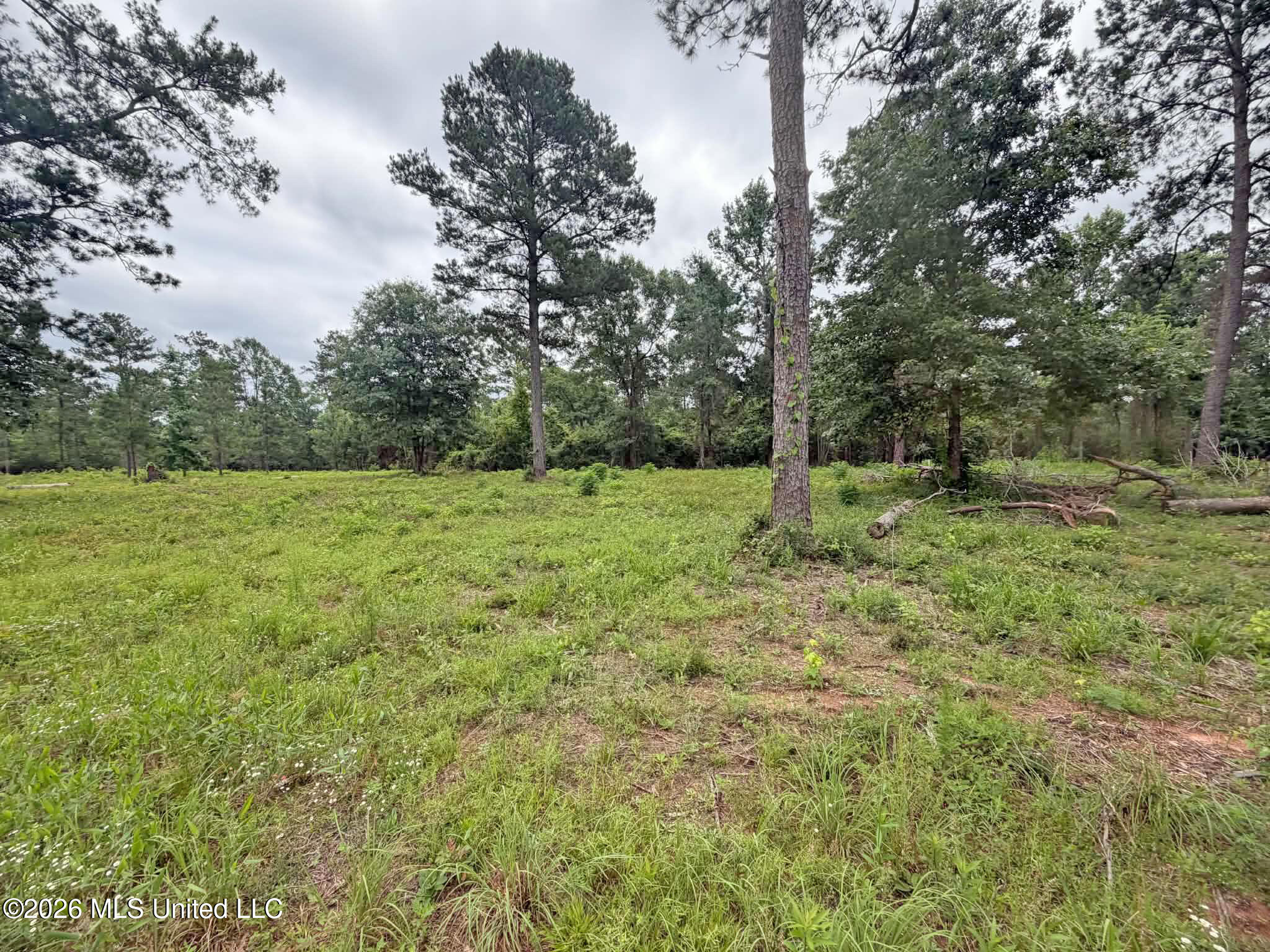 Parcel 4 N Old 63 Highway Property Photo 6