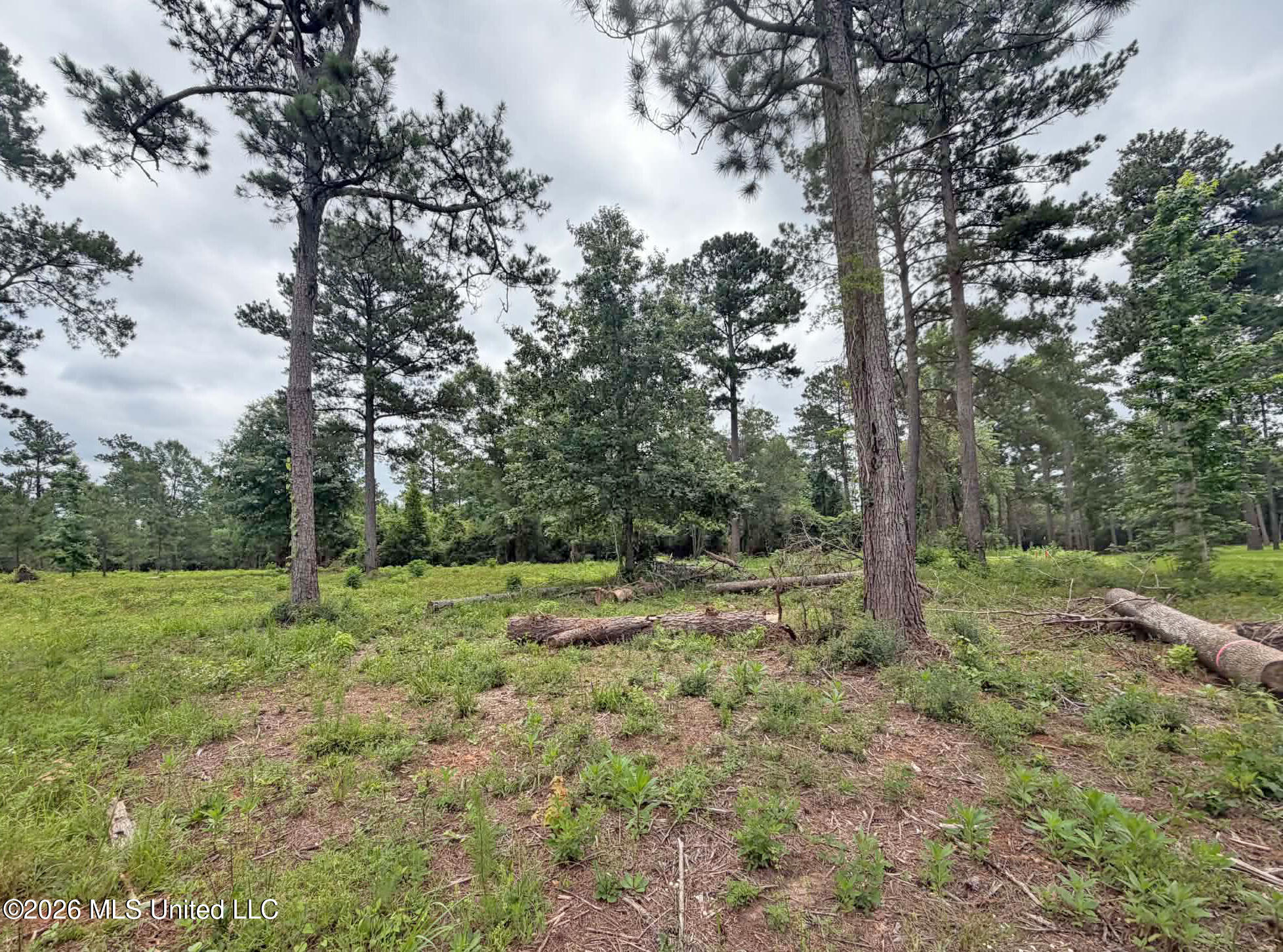 Parcel 4 N Old 63 Highway Property Photo 7