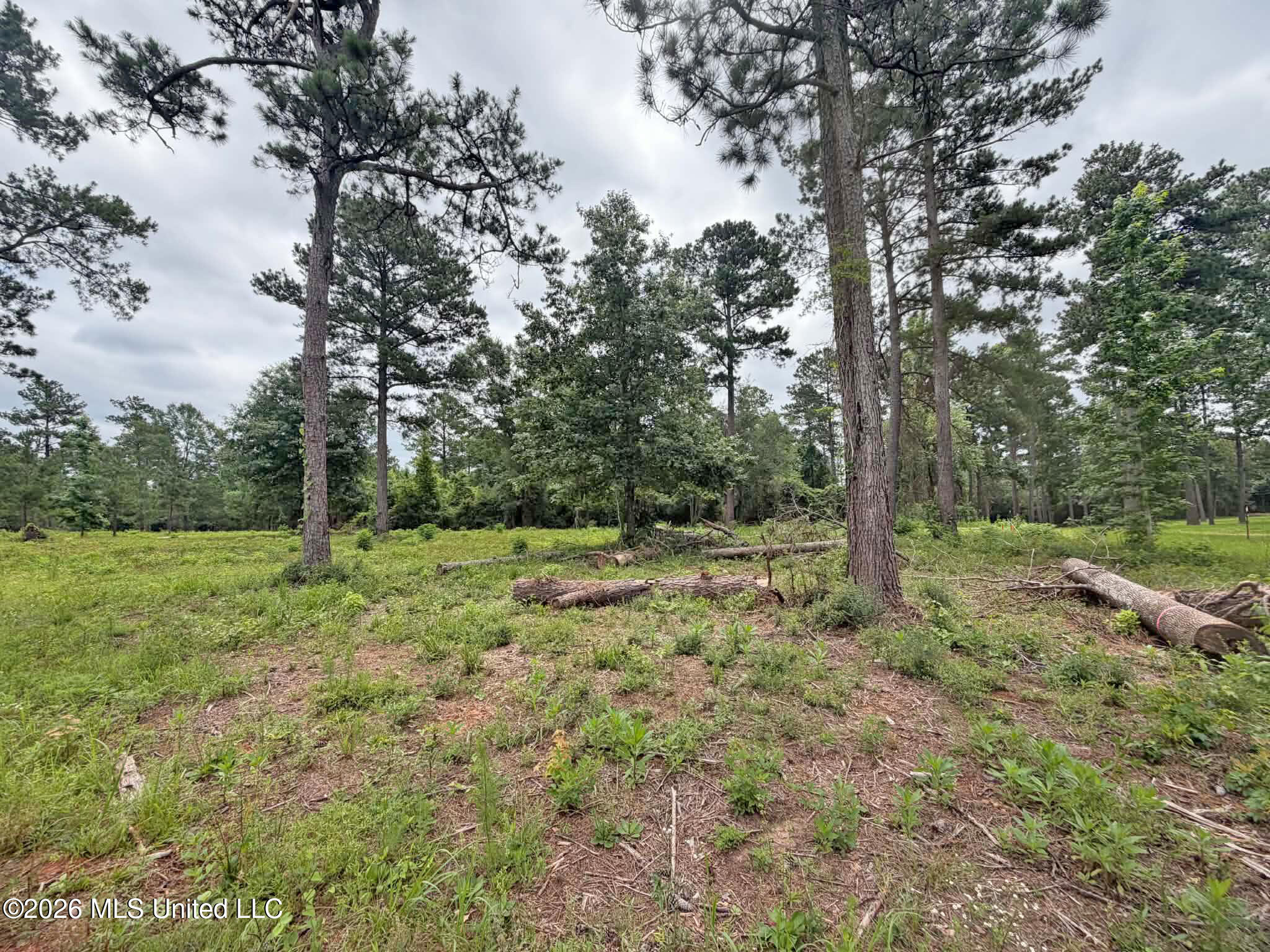 Parcel 4 N Old 63 Highway Property Photo 8