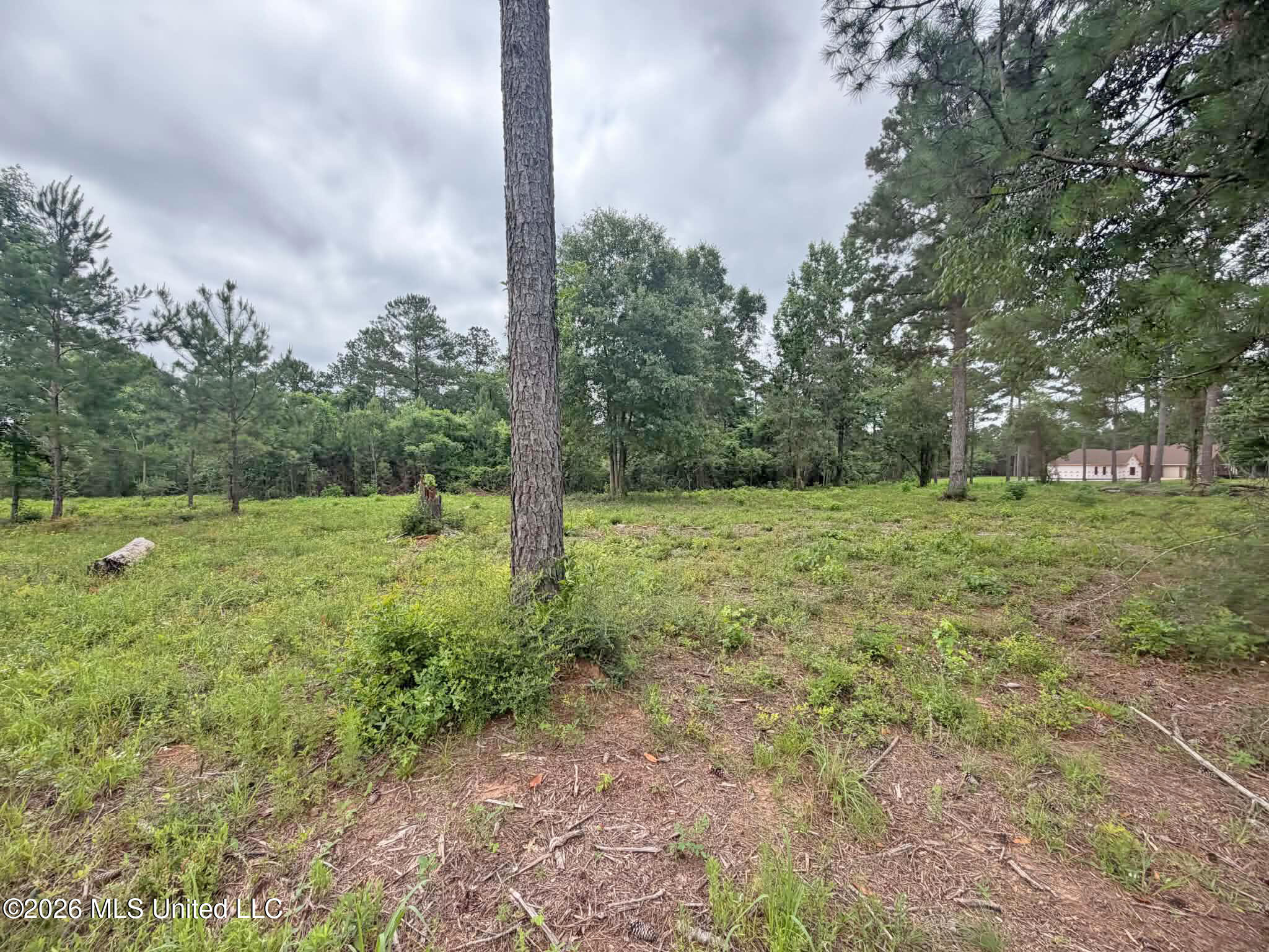 Parcel 4 N Old 63 Highway Property Photo 9