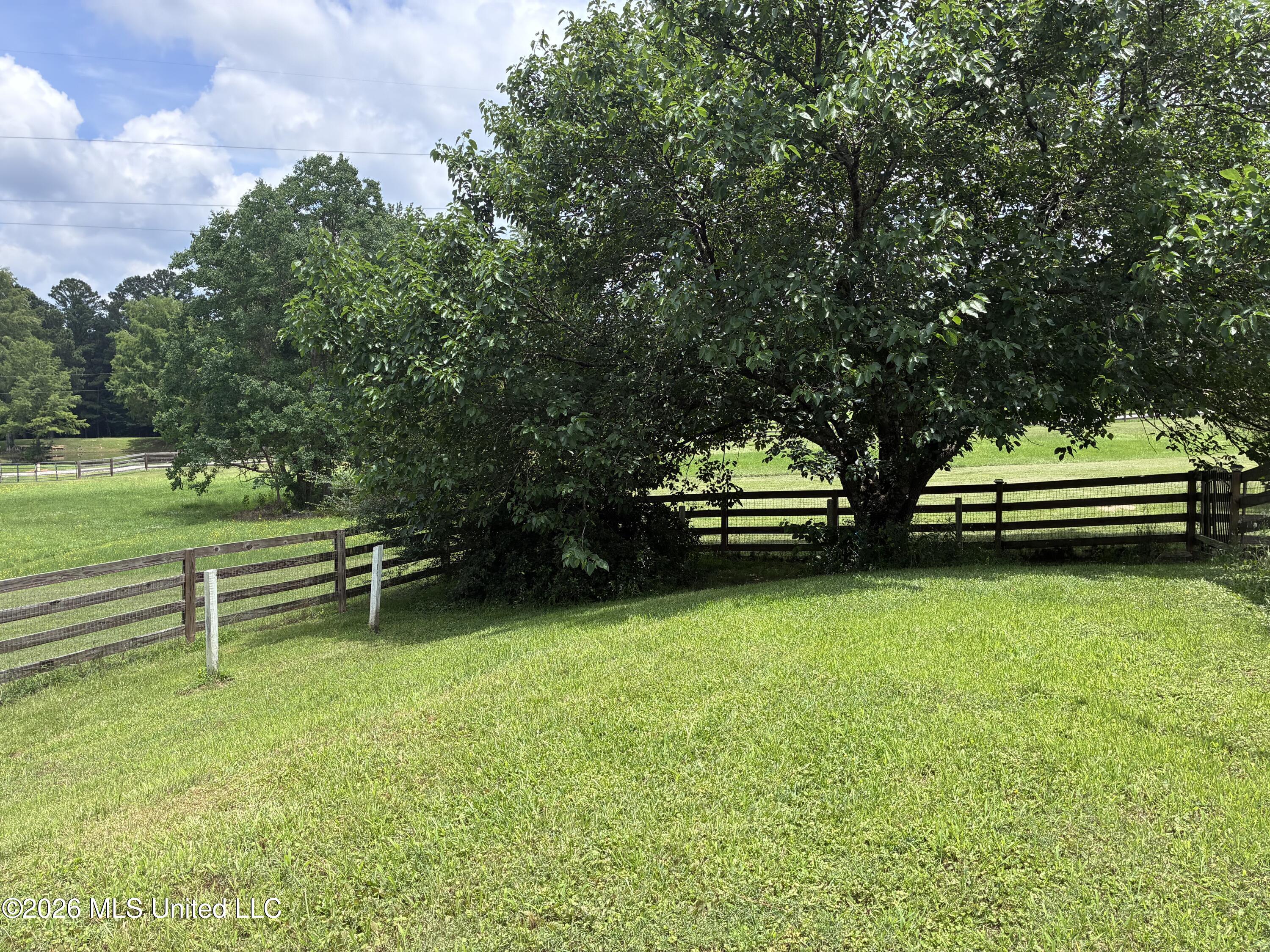 5988 Henderson Road Property Photo 17